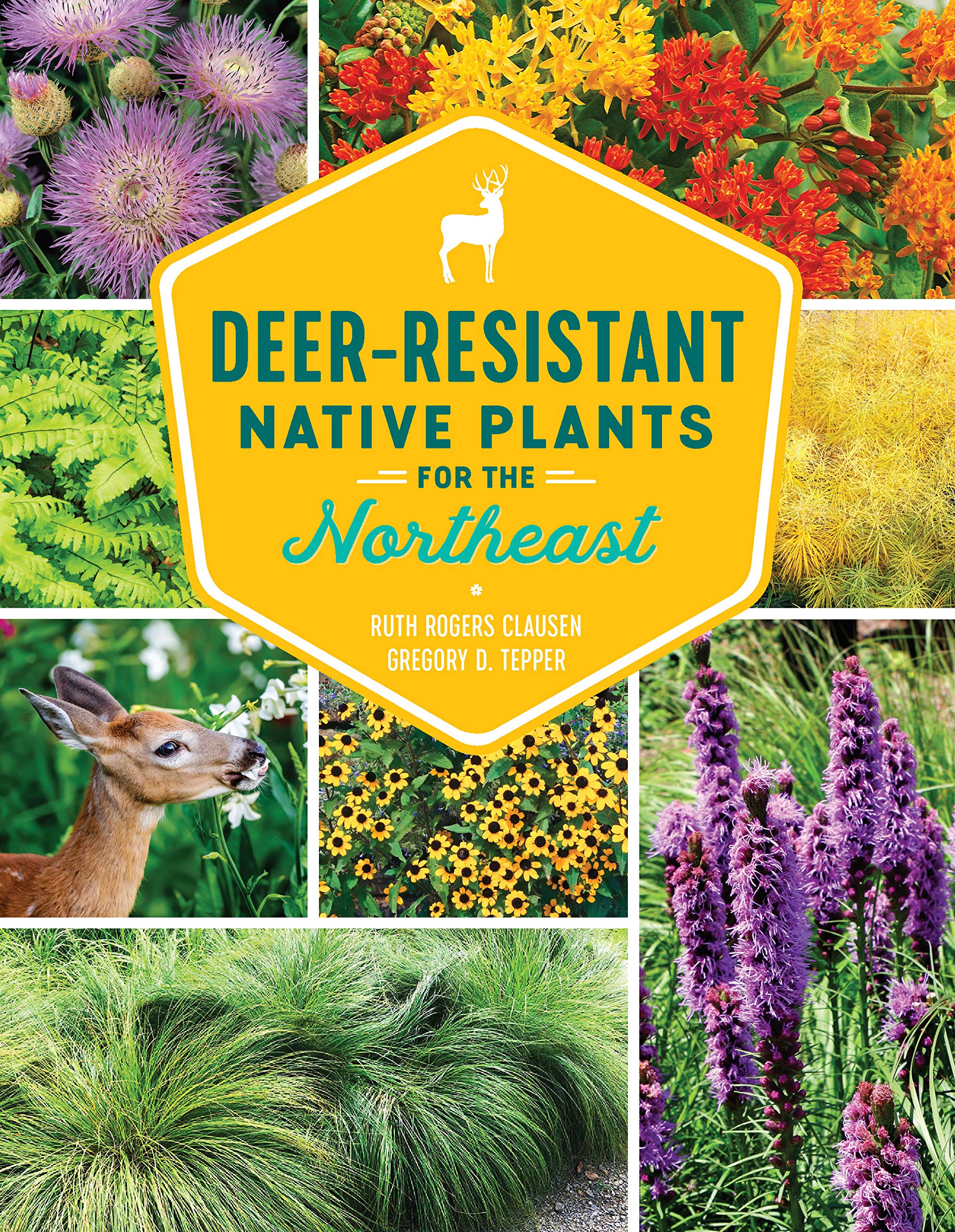 Deer-Resistant Native Plants for the Northeast Garden & Plants