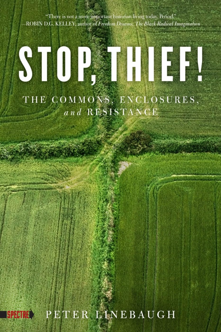 Stop, Thief!: The Commons, Enclosures, and Resistance (Spectre) Social Sciences