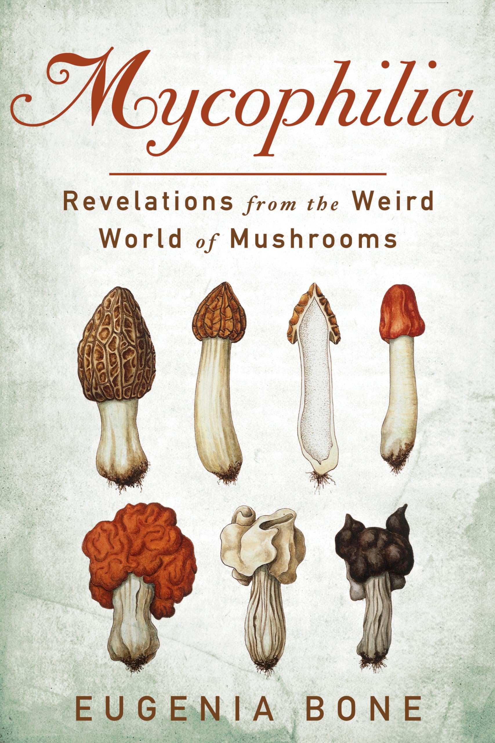 Mycophilia: Revelations from the Weird World of Mushrooms Mathematics