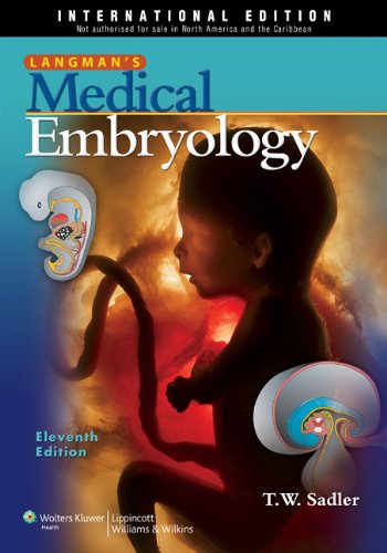 Langman's Medical Embryology, International Edition Medicine