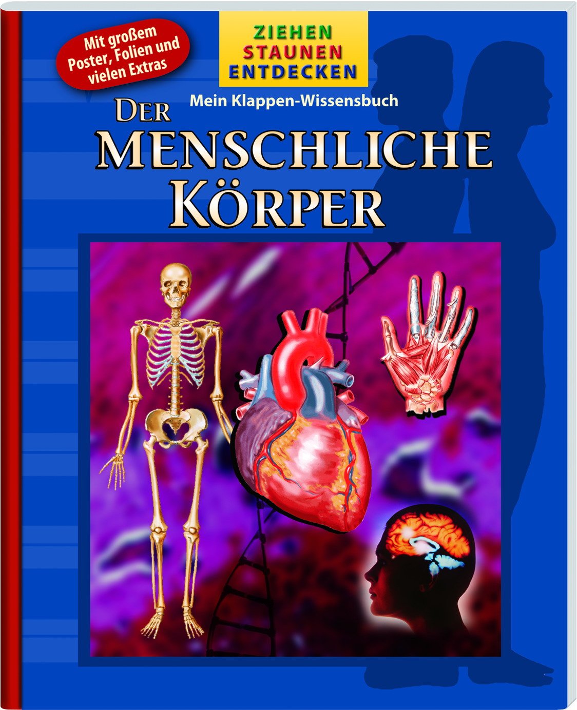 Der Menschliche Körper - Ziehen, Staunen, Entdecken, Wissensbuch mit Klappen und Poster, Hologrammbild Books