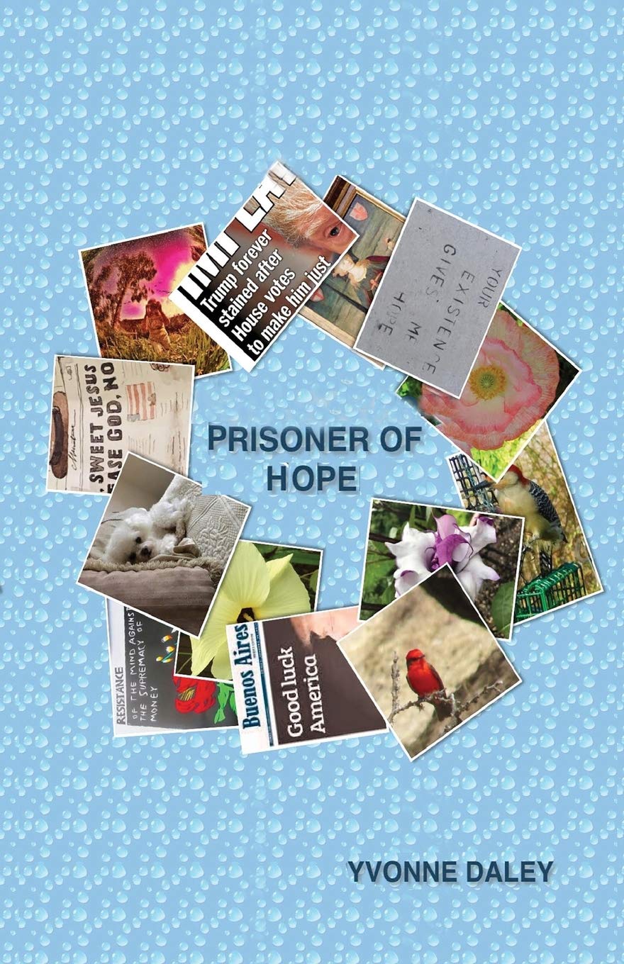 Prisoner of Hope book