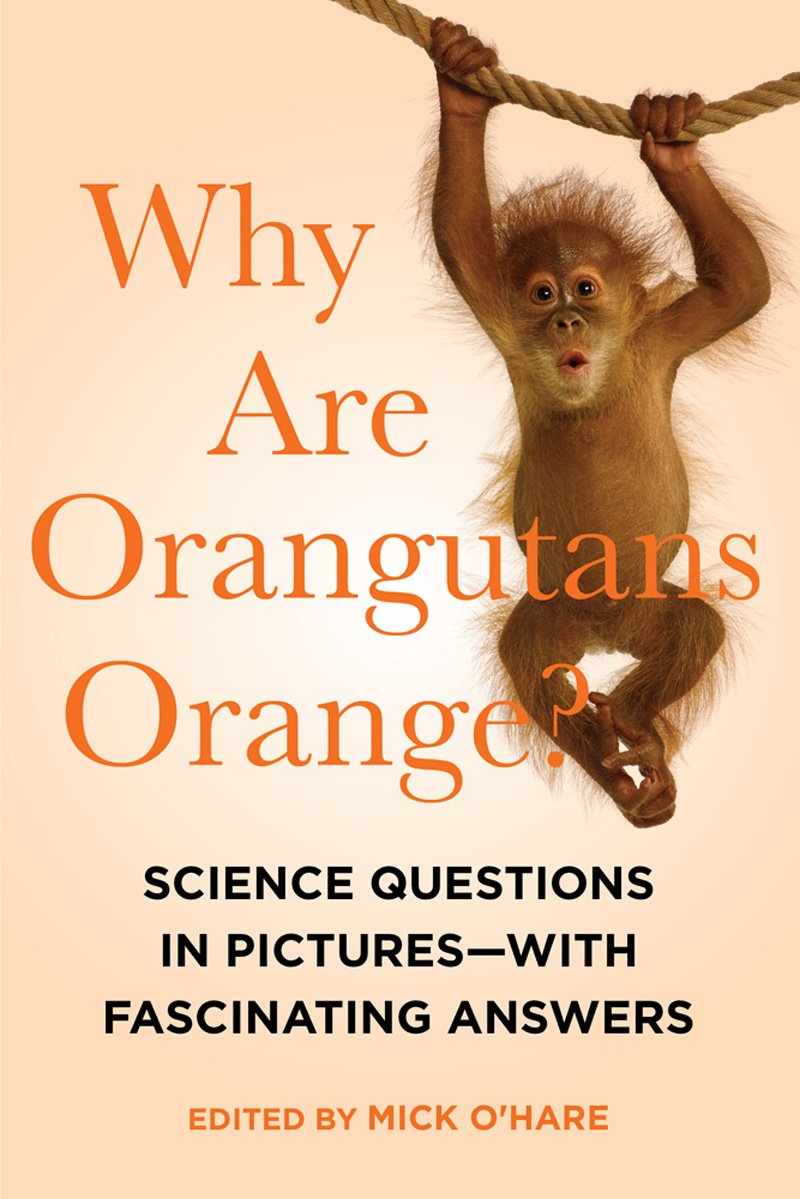 Why Are Orangutans Orange?: Science Questions in Pictures--With Fascinating Answers Reference Books