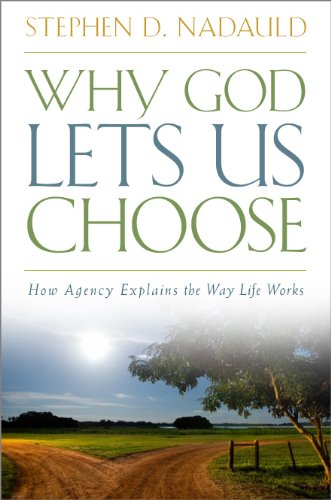 Why God Lets Us Choose: How Agency Explains the Way Life Works Books