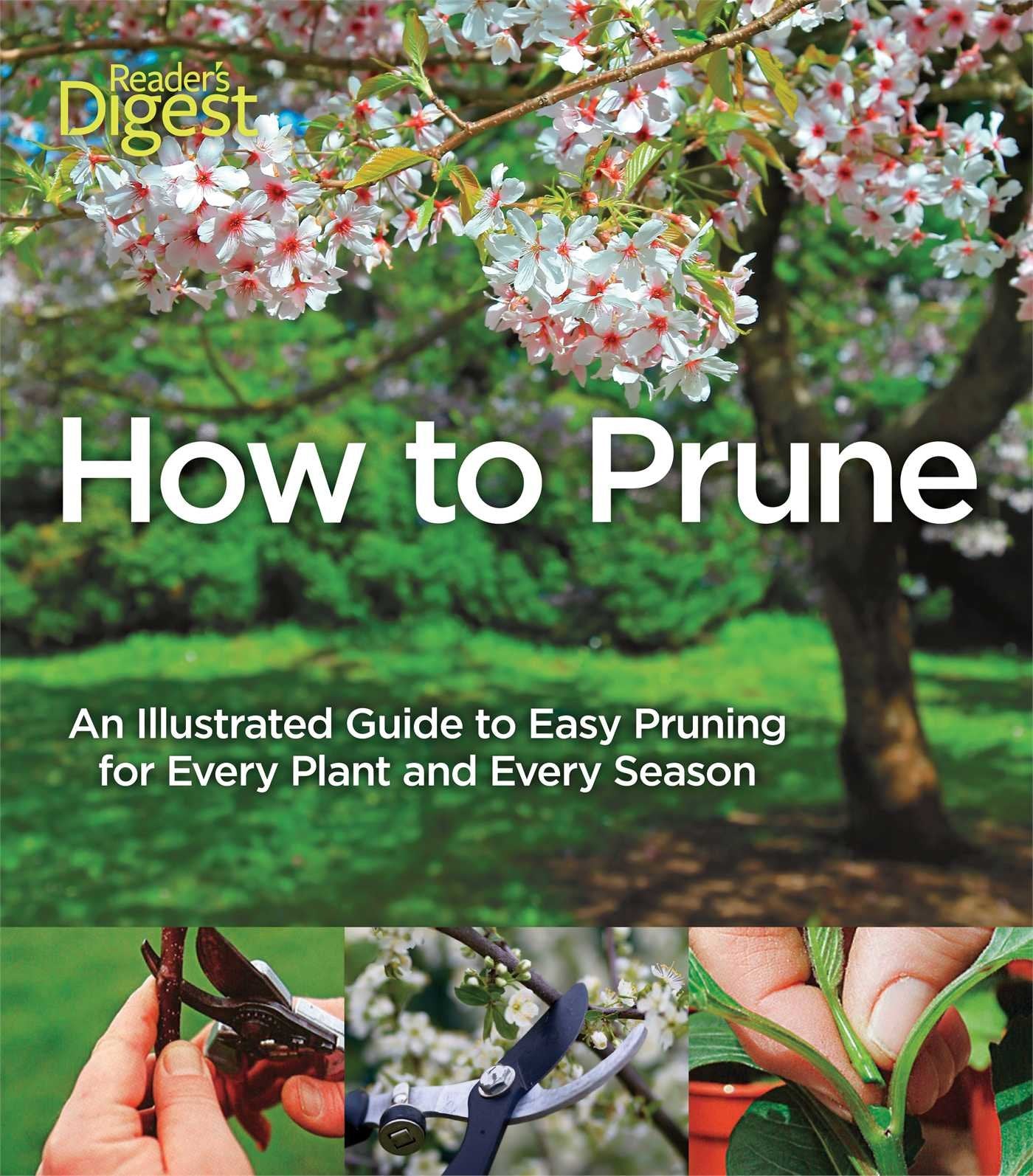 How to Prune: An Illustrated Guide to Easy Pruning for Every Plant and Every Season Garden & Plants