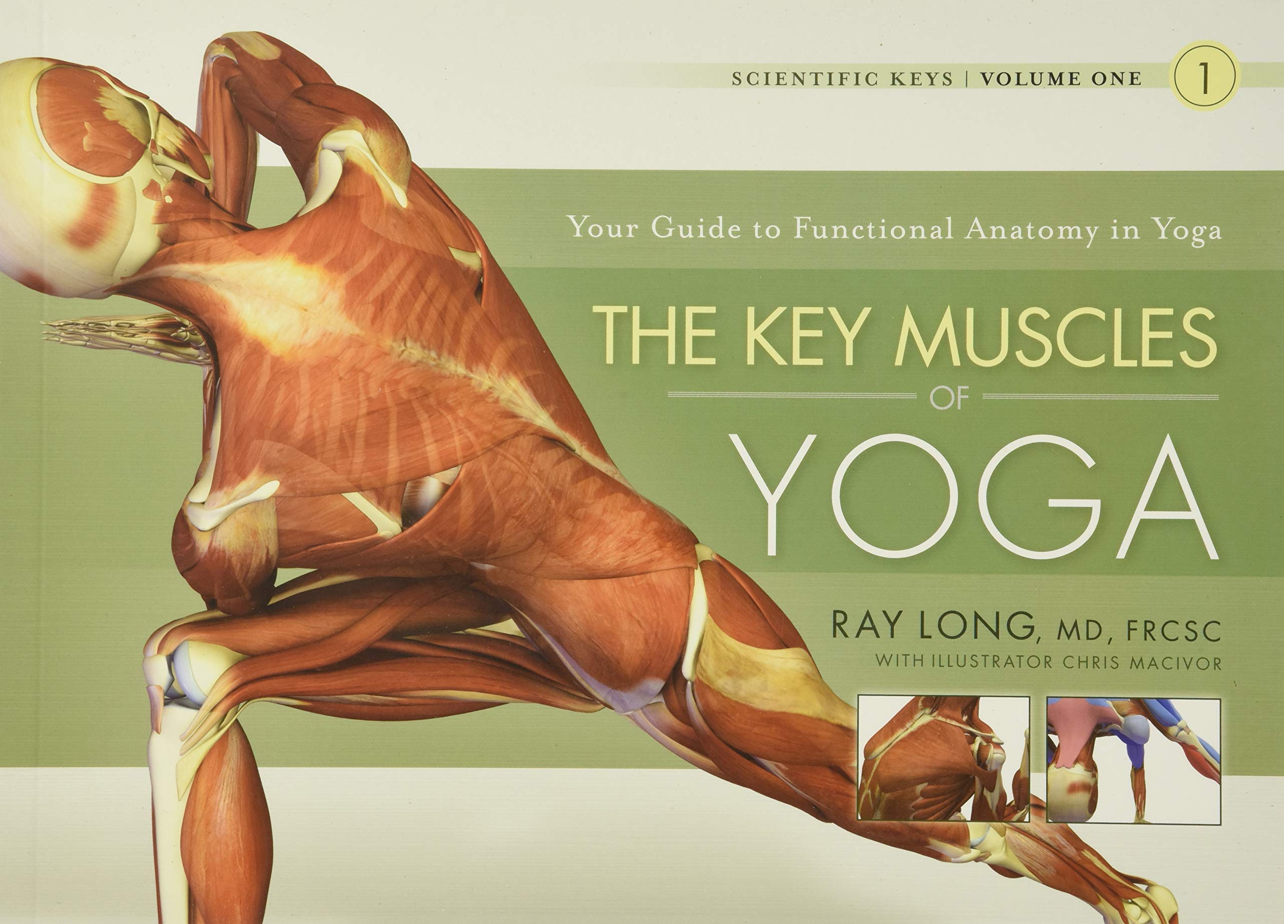 The Key Muscles of Yoga: Your Guide to Functional Anatomy in Yoga (1) (Scientific Keys, Band 1) Natural Sciences