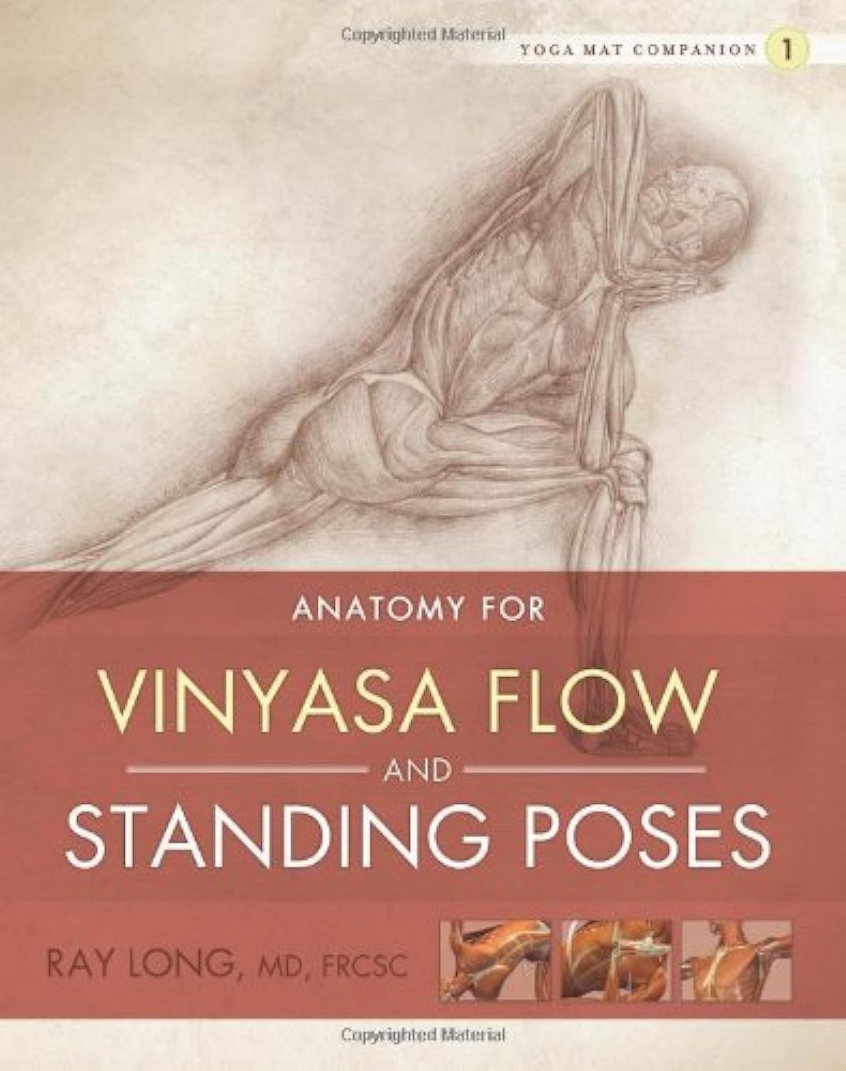 Anatomy for Vinyasa Flow and Standing Poses Natural Sciences