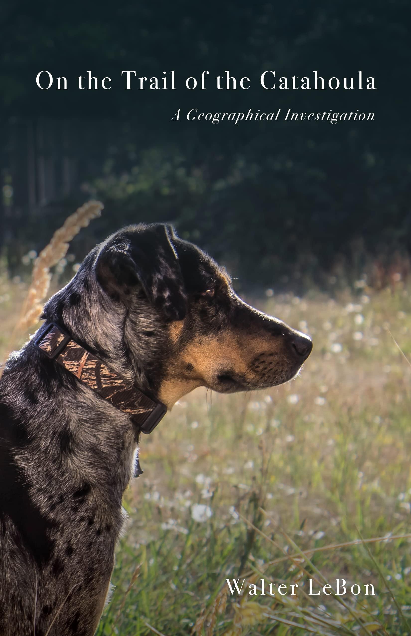 On the Trail of the Catahoula: A Geographical Investigation Nature & Animals