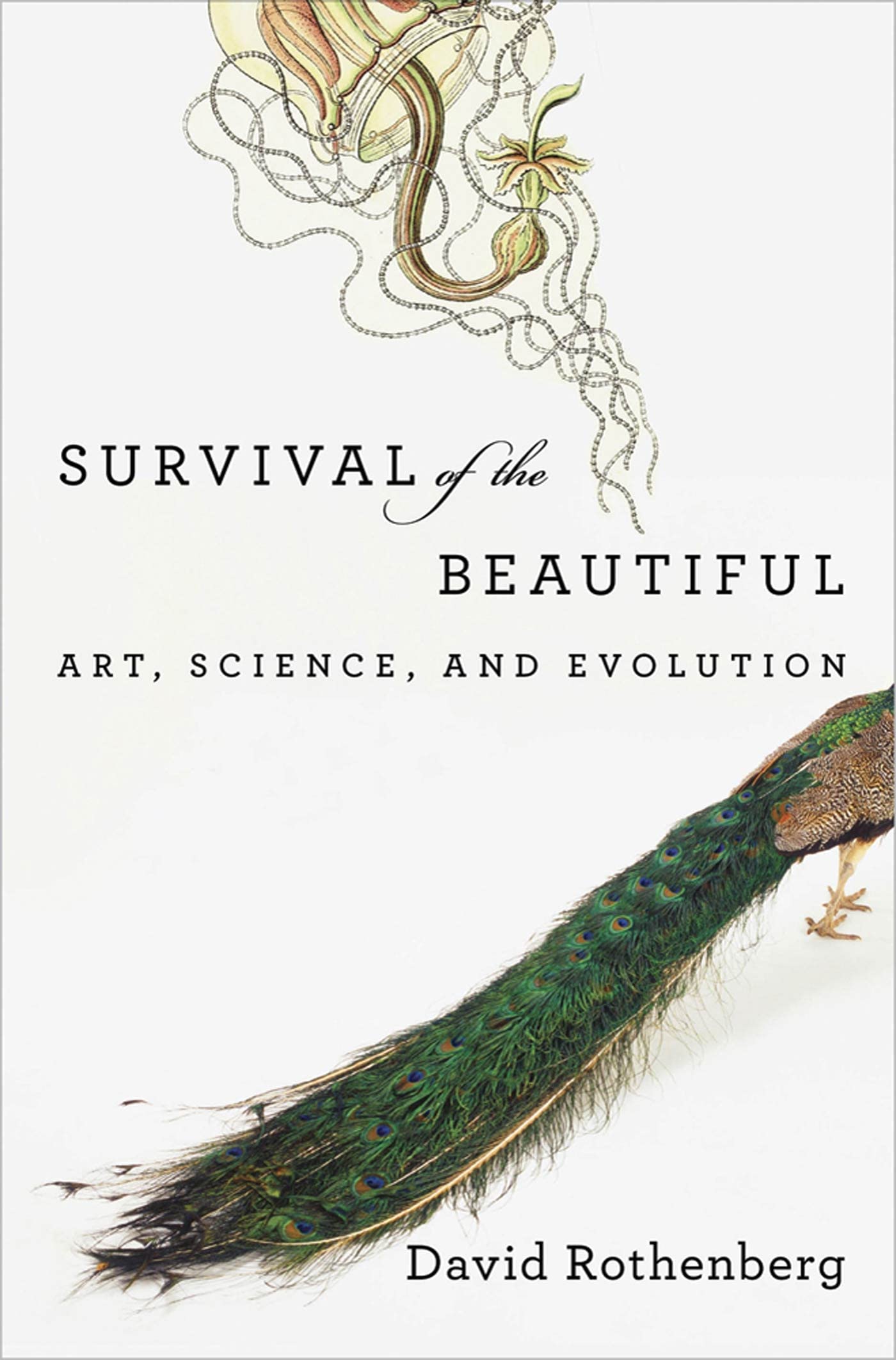 Survival of the Beautiful Philosophy
