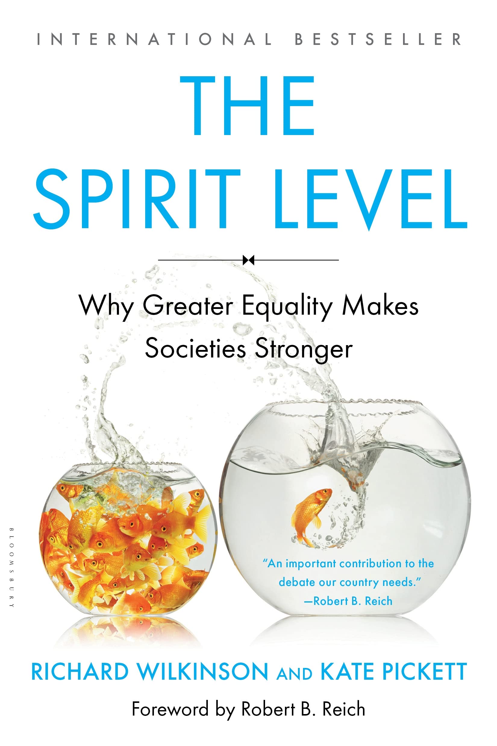 The Spirit Level: Why Greater Equality Makes Societies Stronger Social Sciences