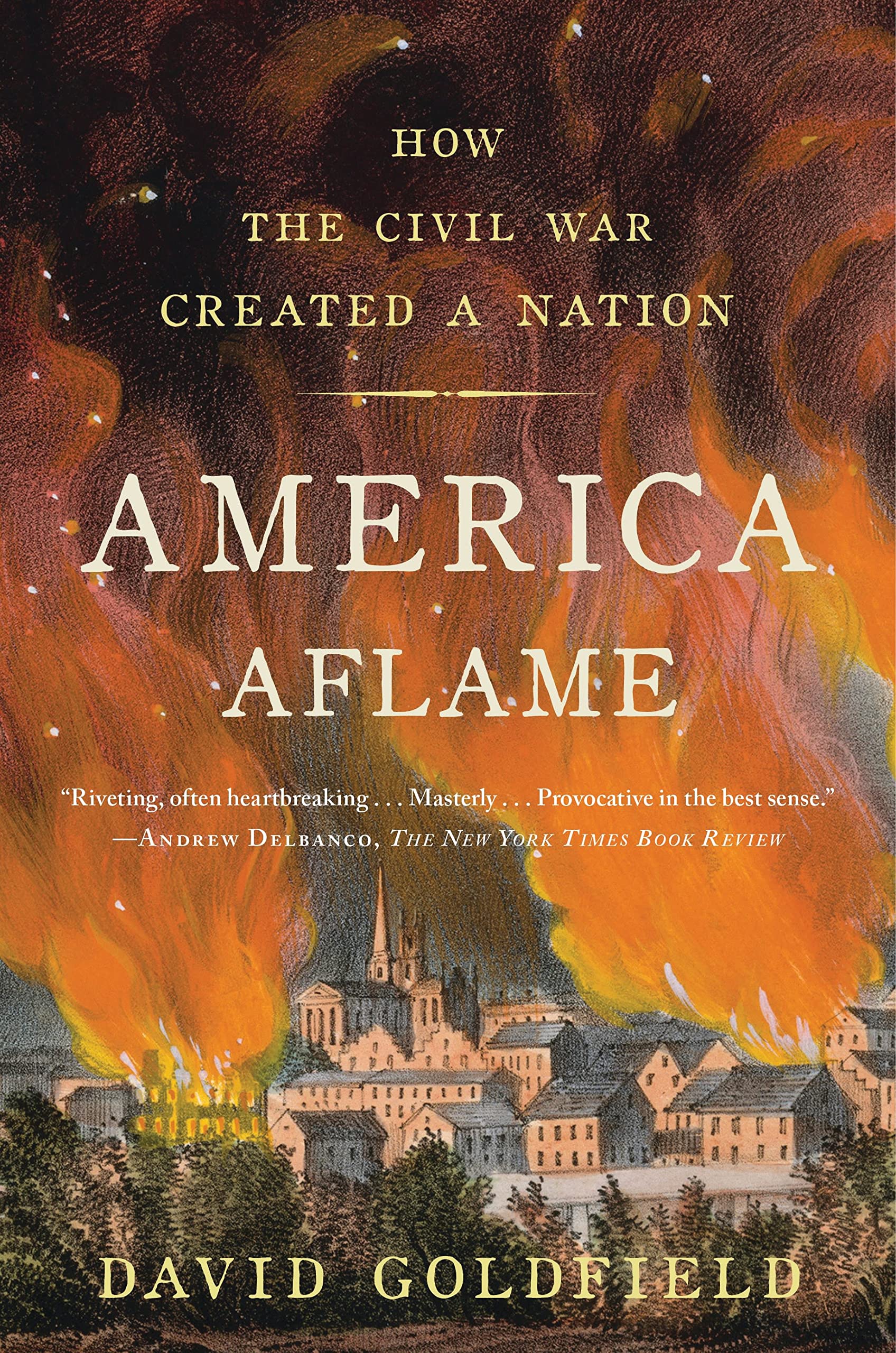 America Aflame: How the Civil War Created a Nation Social Sciences
