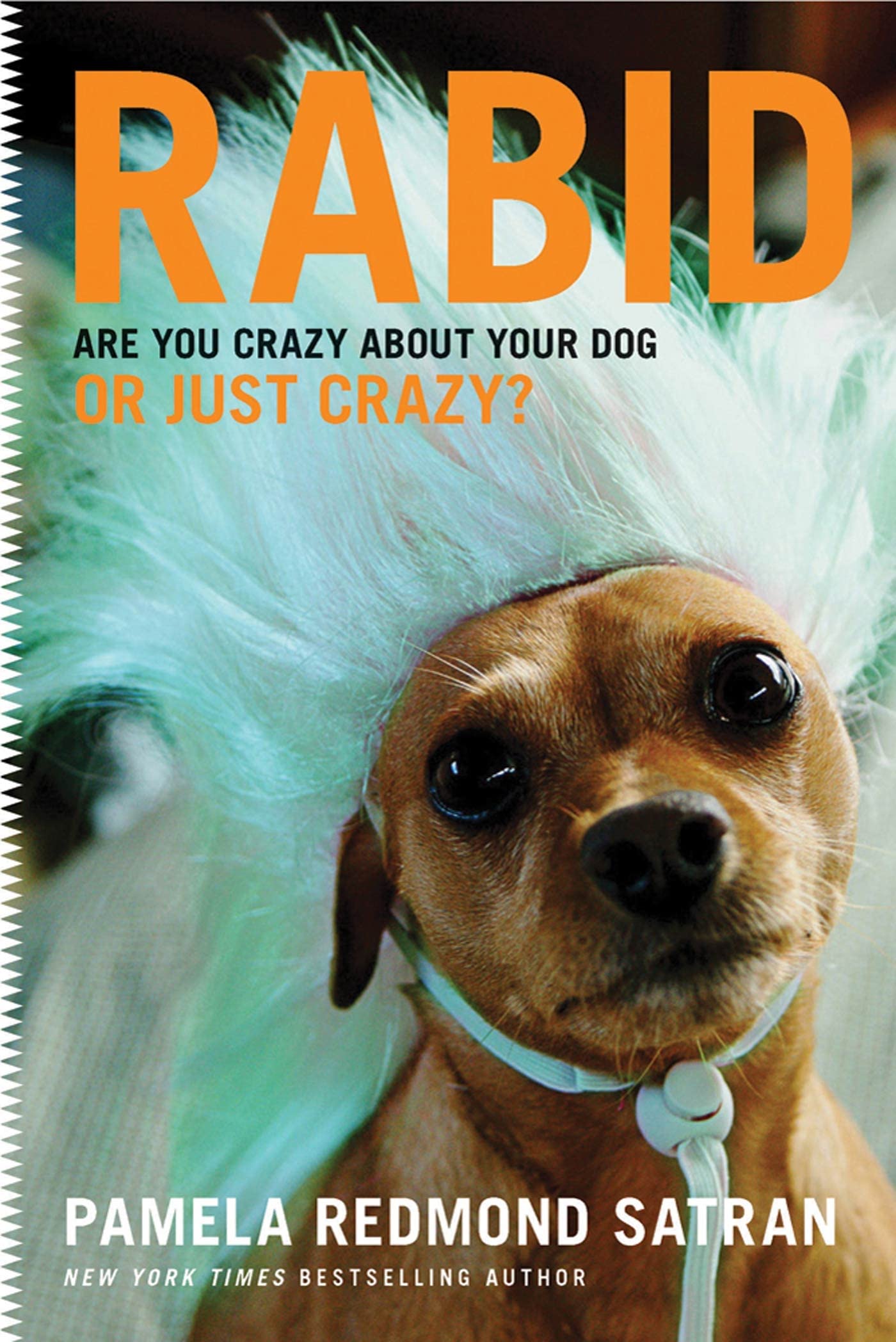 Rabid: Are You Crazy About Your Dog or Just Crazy? book