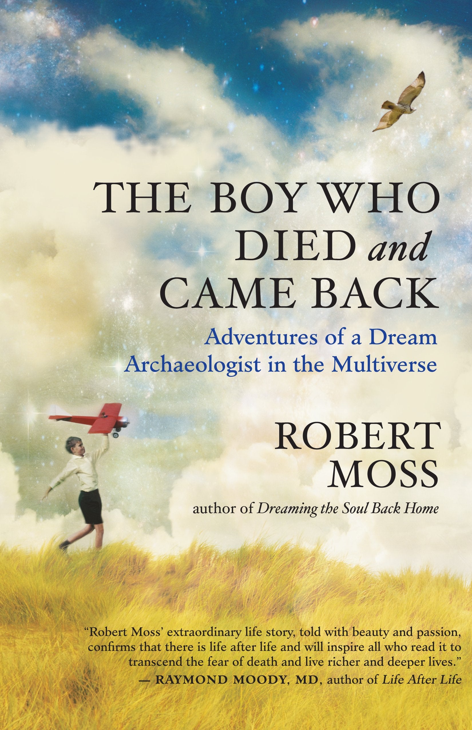 Boy Who Died and Came Back: Adventures of a Dream Archaeologist in the Multiverse Memories