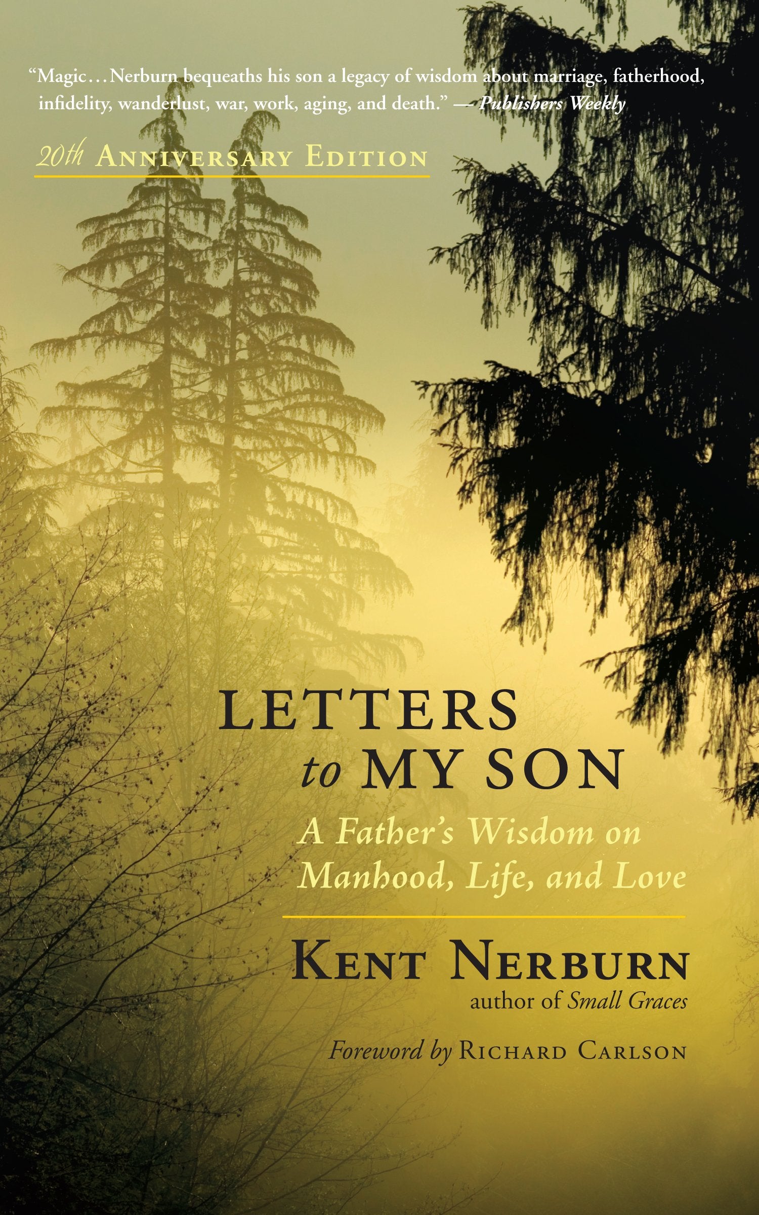 Letters to My Son: A Father's Wisdom on Manhood, Life, and Love book