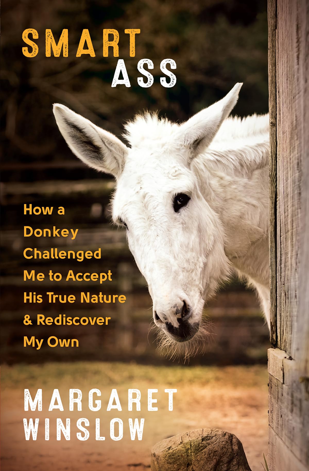 Smart Ass: How a Donkey Challenged Me to Accept His True Nature & Rediscover My Own Inspiring women