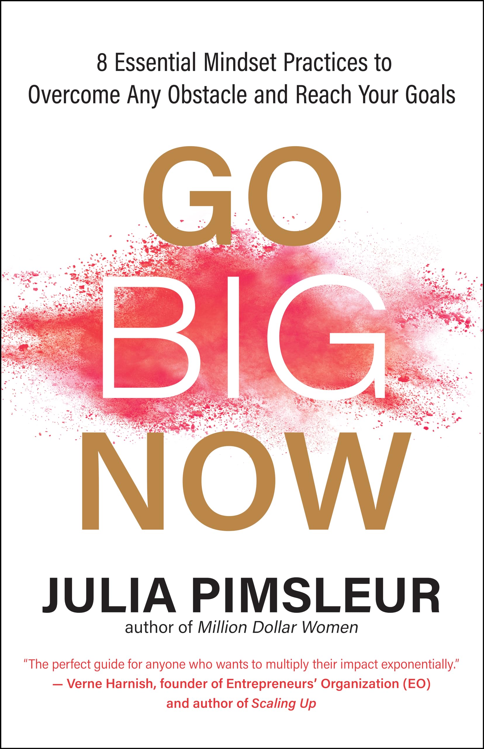 Go Big Now: 8 Essential Mindset Practices to Overcome Any Obstacle and Reach Your Goals book