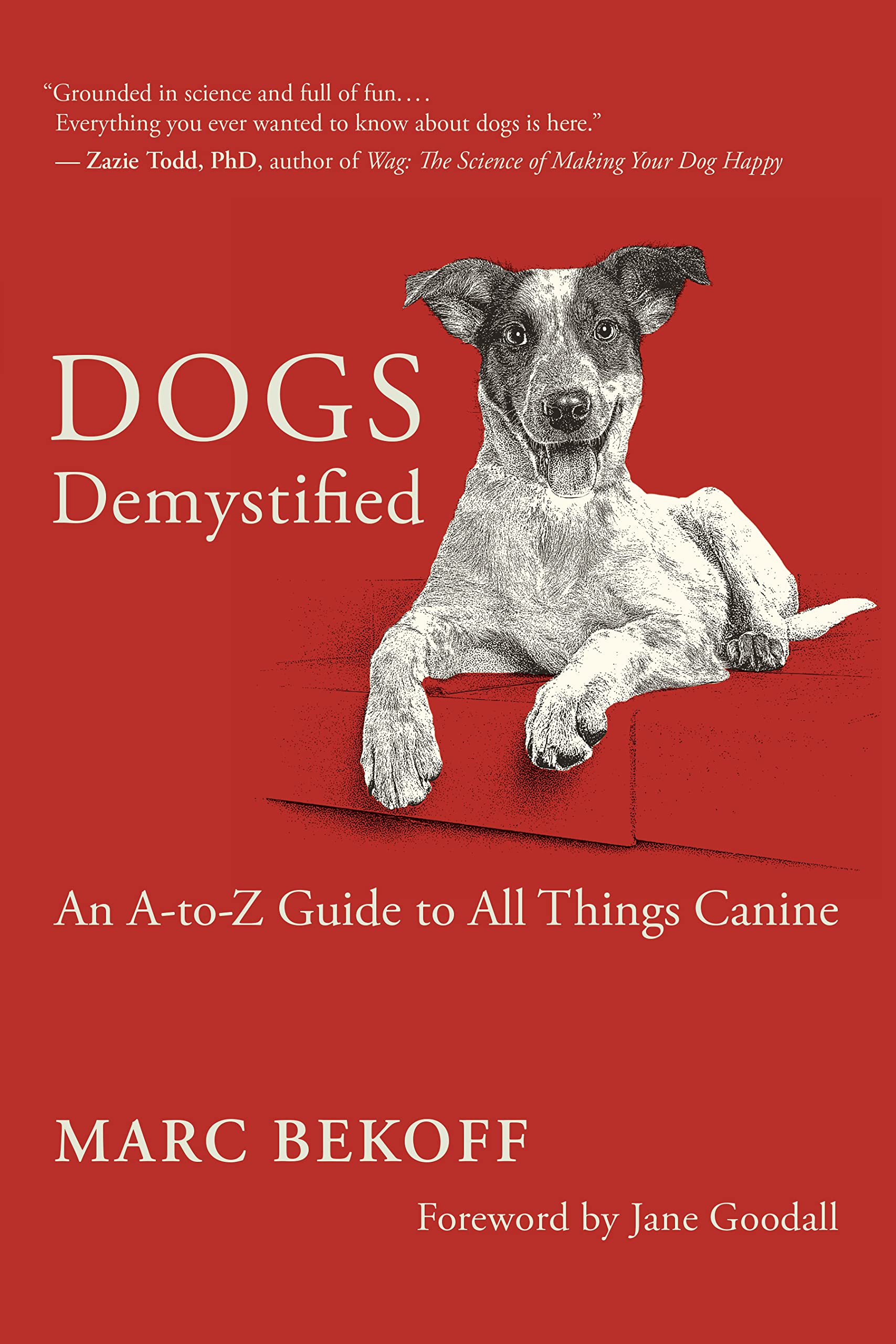 Dogs Demystified: An A-to-Z Guide to All Things Canine Mathematics