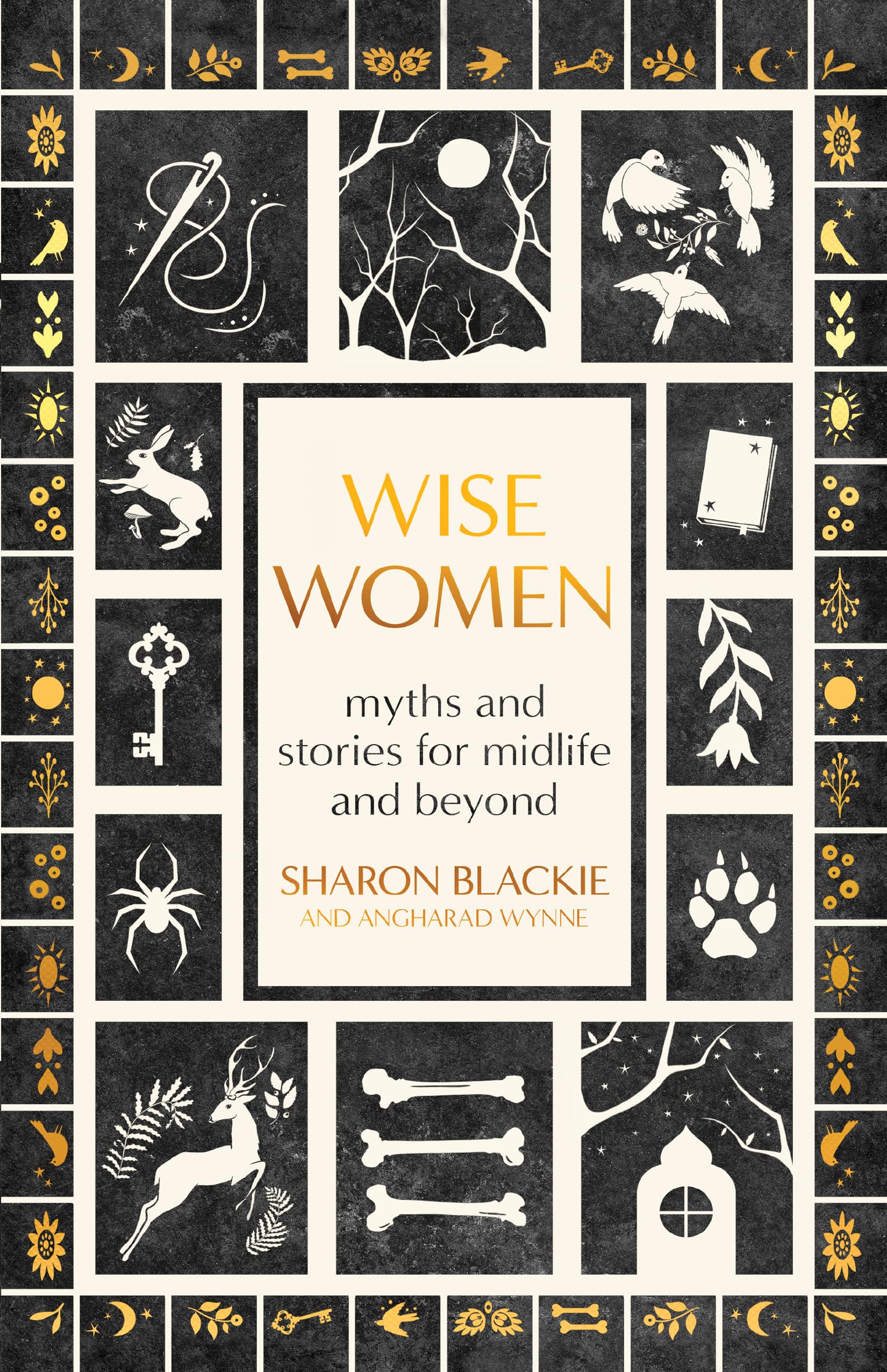Wise Women: Myths and Stories for Midlife and Beyond Social Sciences
