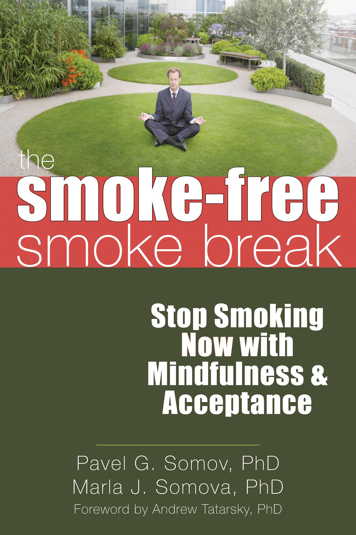 The Smoke-Free Smoke Break: Stop Smoking Now with Mindfulness and Acceptance book