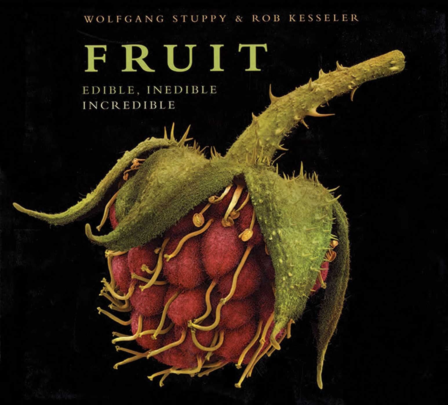 Fruit: Edible, Inedible, Incredible Mathematics
