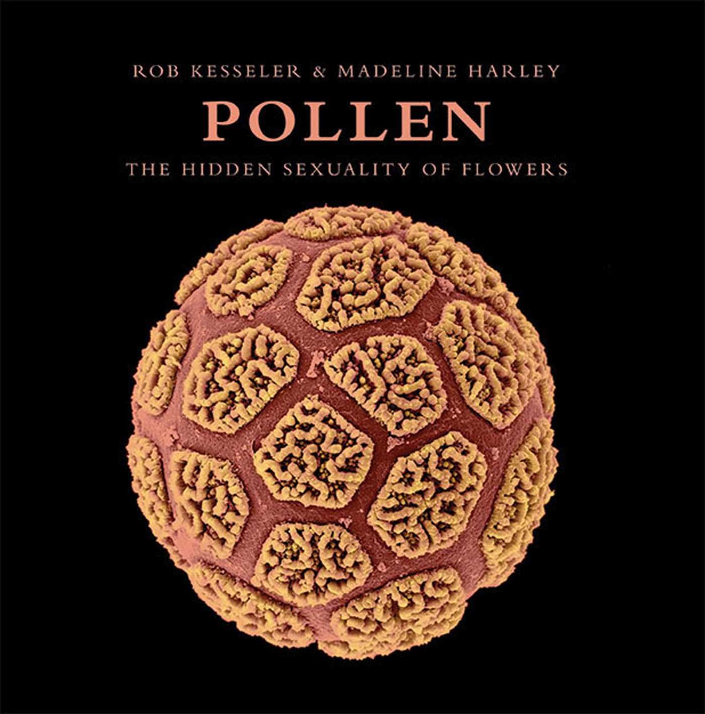 Pollen: The Hidden Sexuality of Flowers Mathematics