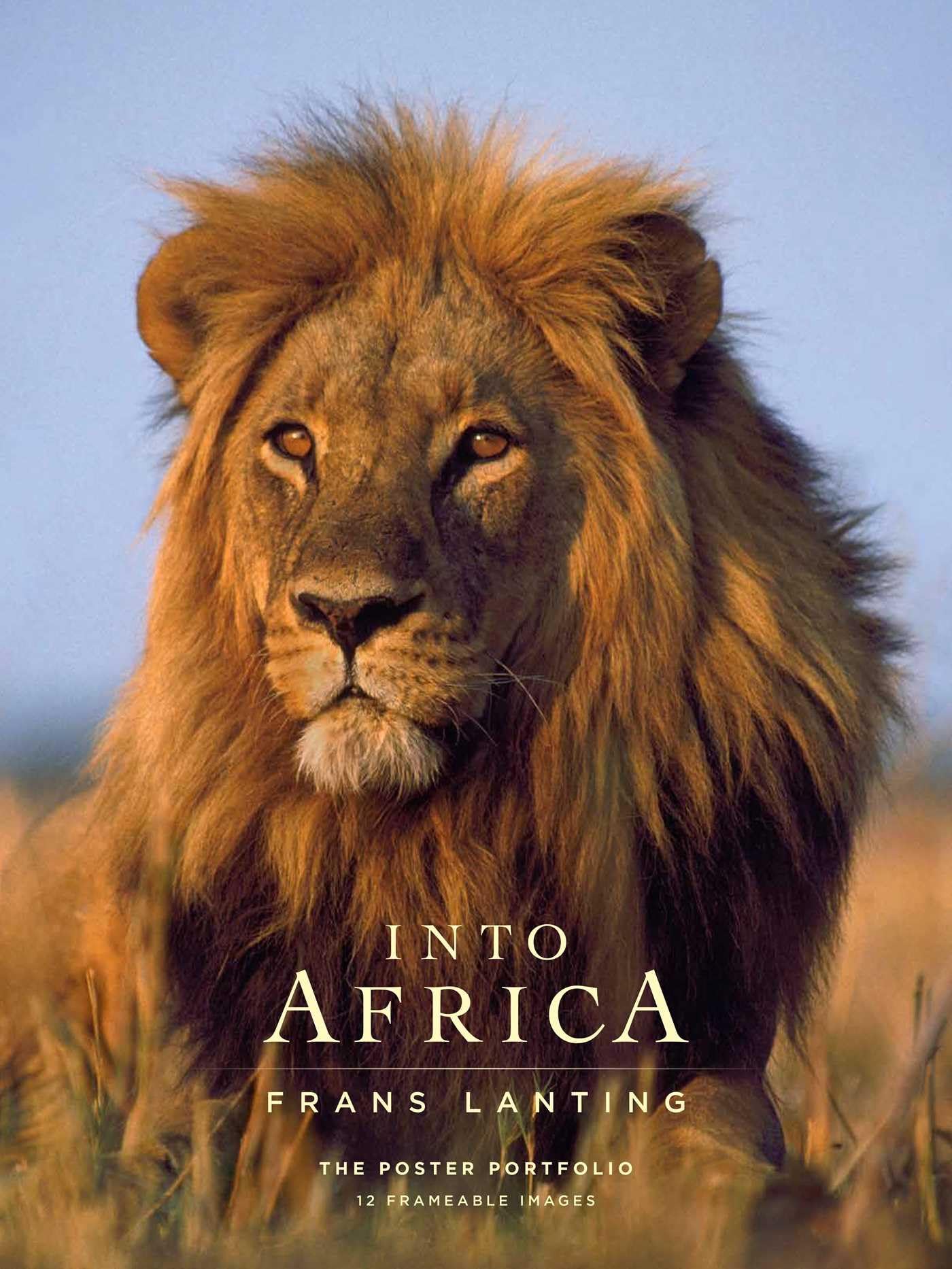 Into Africa: The Poster Portfolio: 12 Frameable Images (Insights Poster Collections) Photography