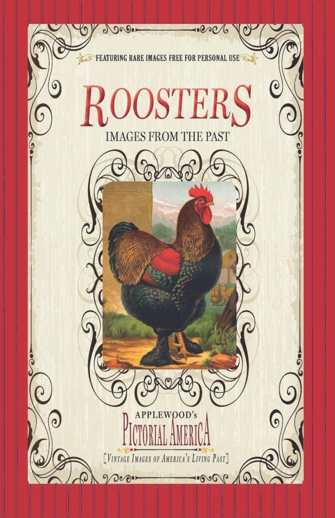 Roosters (Pictorial America): Vintage Images of America's Living Past (Applewood's Pictorial America) Social Sciences