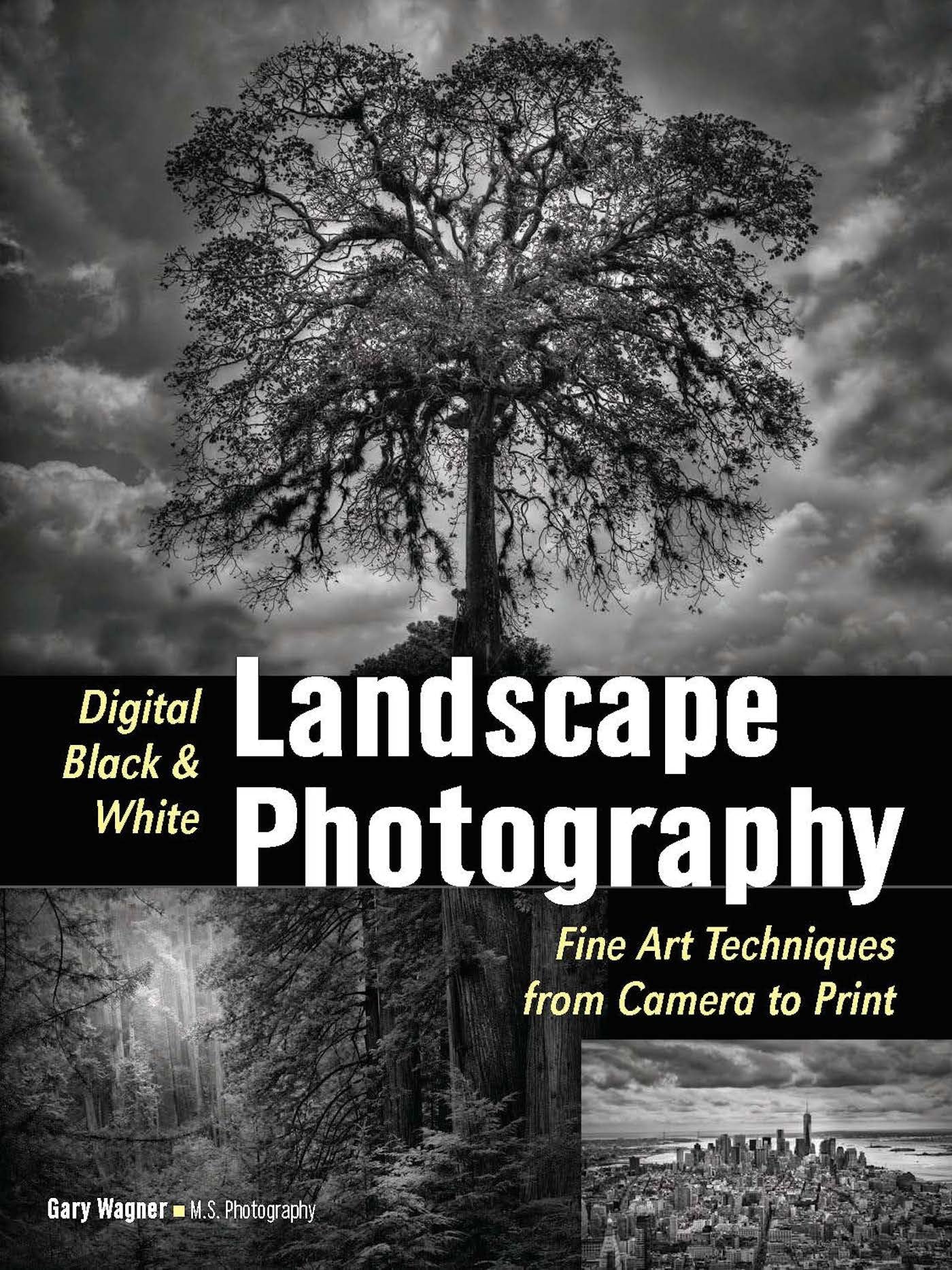 Digital Black & White Landscape Photography: Fine Art Techniques from Camera to Print Computer Science