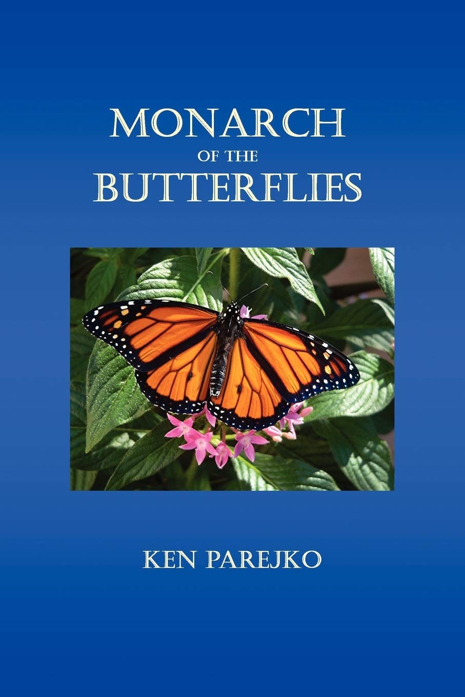 MONARCH OF THE BUTTERFLIES Leisure, Home & Garden