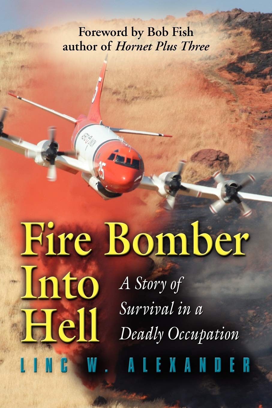 Fire Bomber Into Hell: A Story of Survival in a Deadly Occupation book