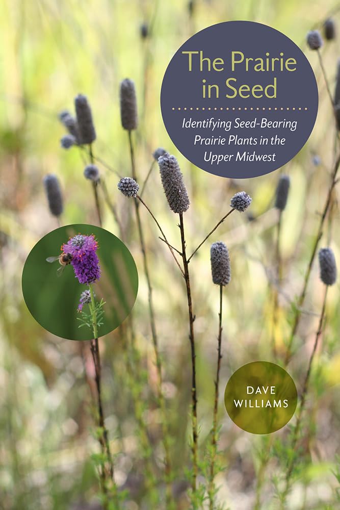 The Prairie in Seed: Identifying Seed-Bearing Prairie Plants in the Upper Midwest (Bur Oak Guides) Geology & Geography