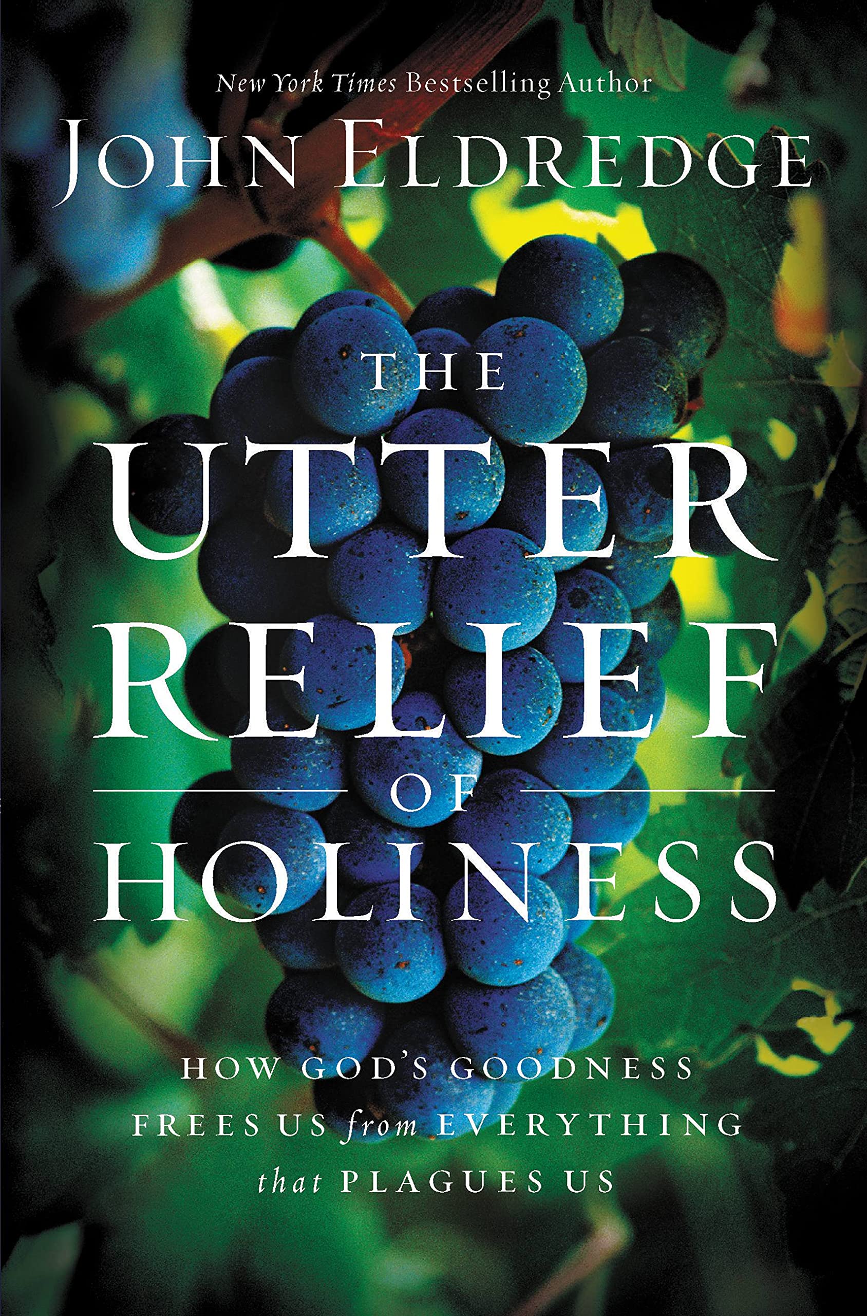 The Utter Relief of Holiness: How God's Goodness Frees Us from Everything that Plagues Us Social Sciences