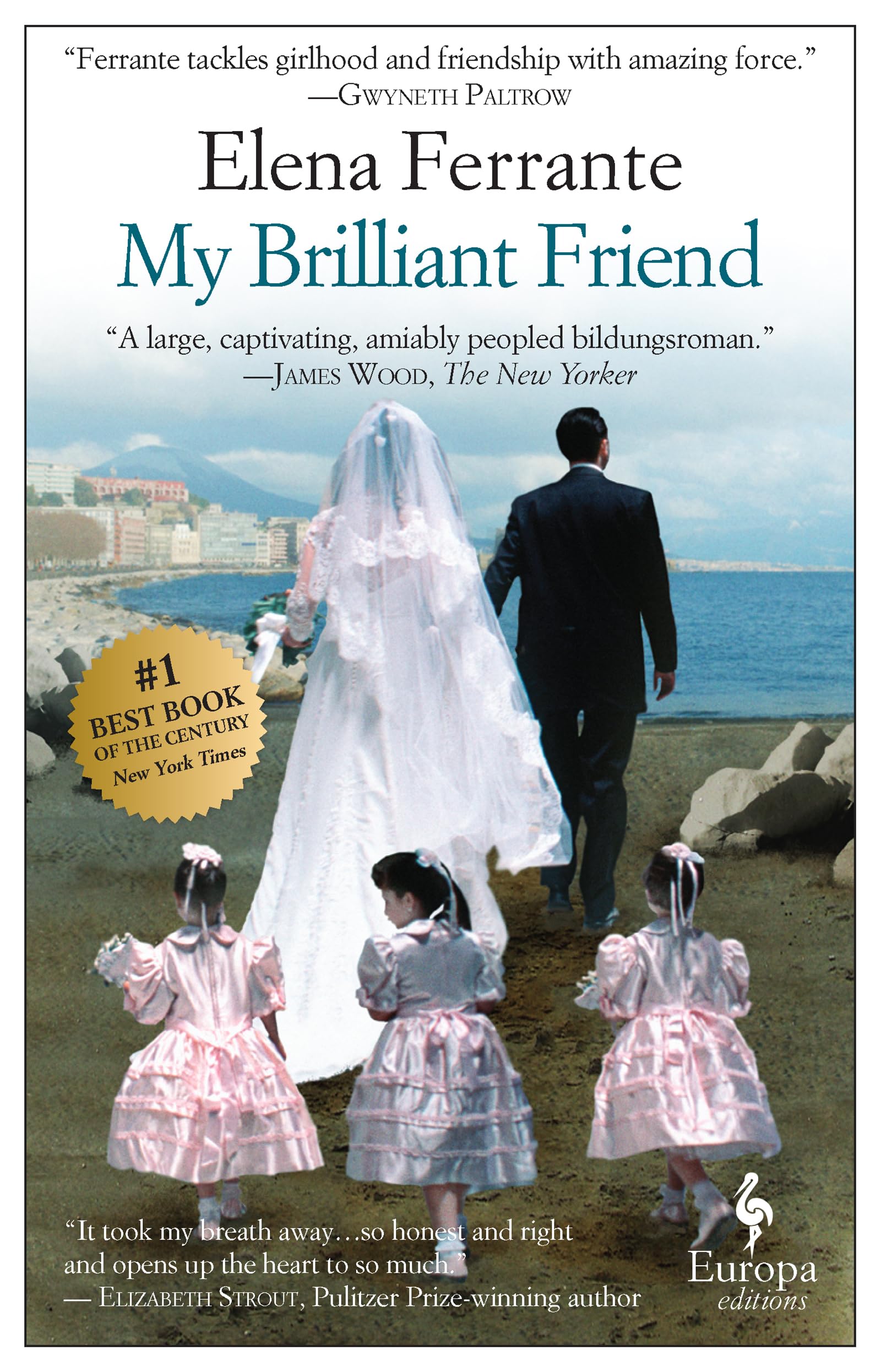 My Brilliant Friend Contemporary literature Books