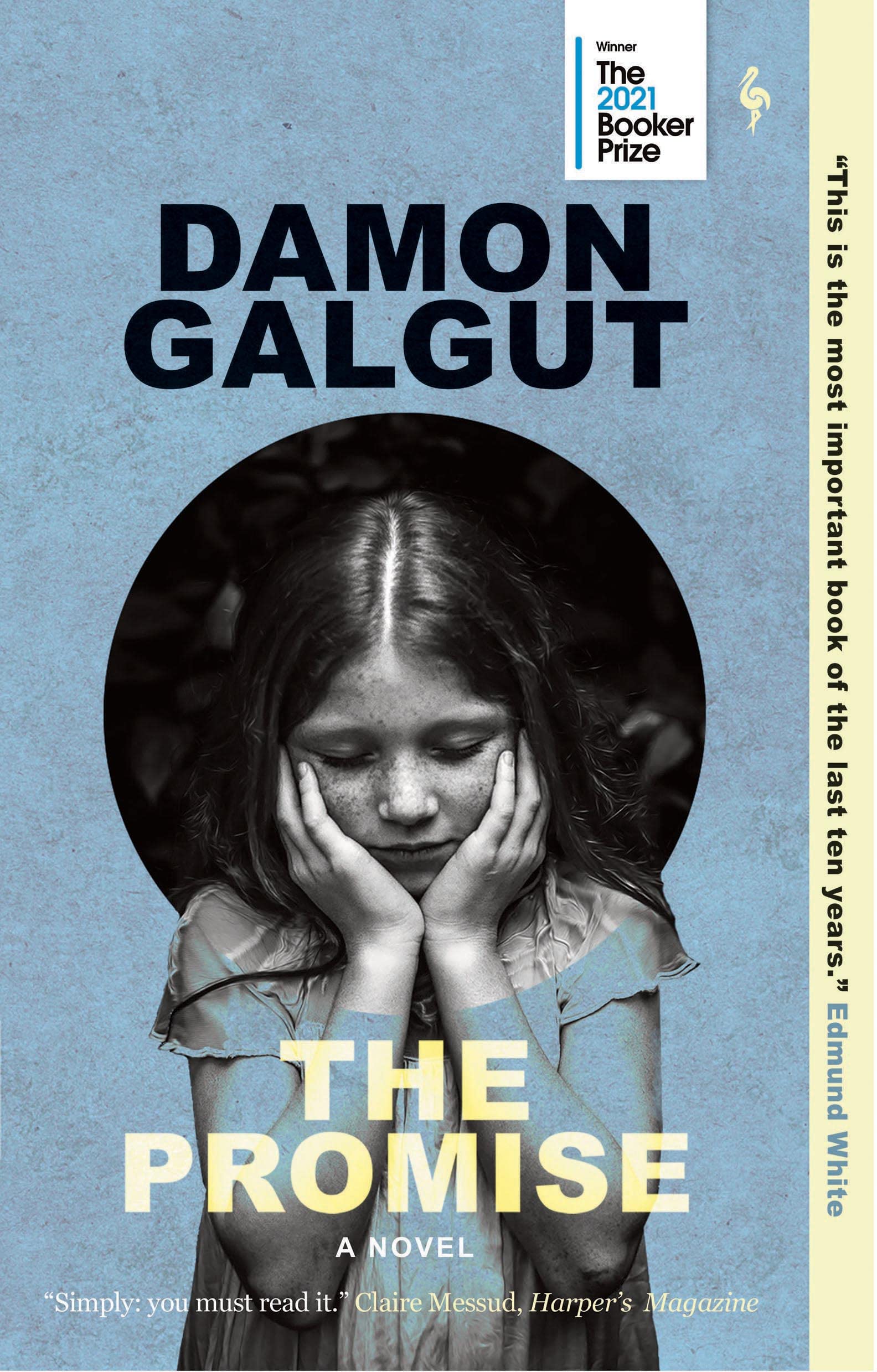The Promise Contemporary literature Books