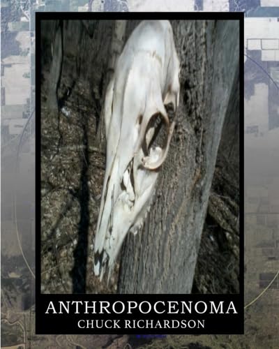 Product Image: Anthropocenoma