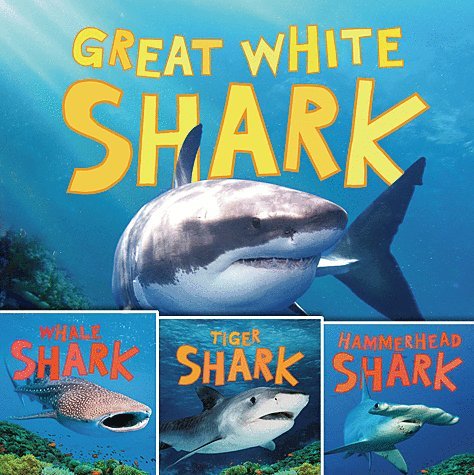 Discovering Sharks 4 Paperback Book Set Includes Whale Shark, Tiger Shark, Hammerhead Shark & Great White Shark! Books