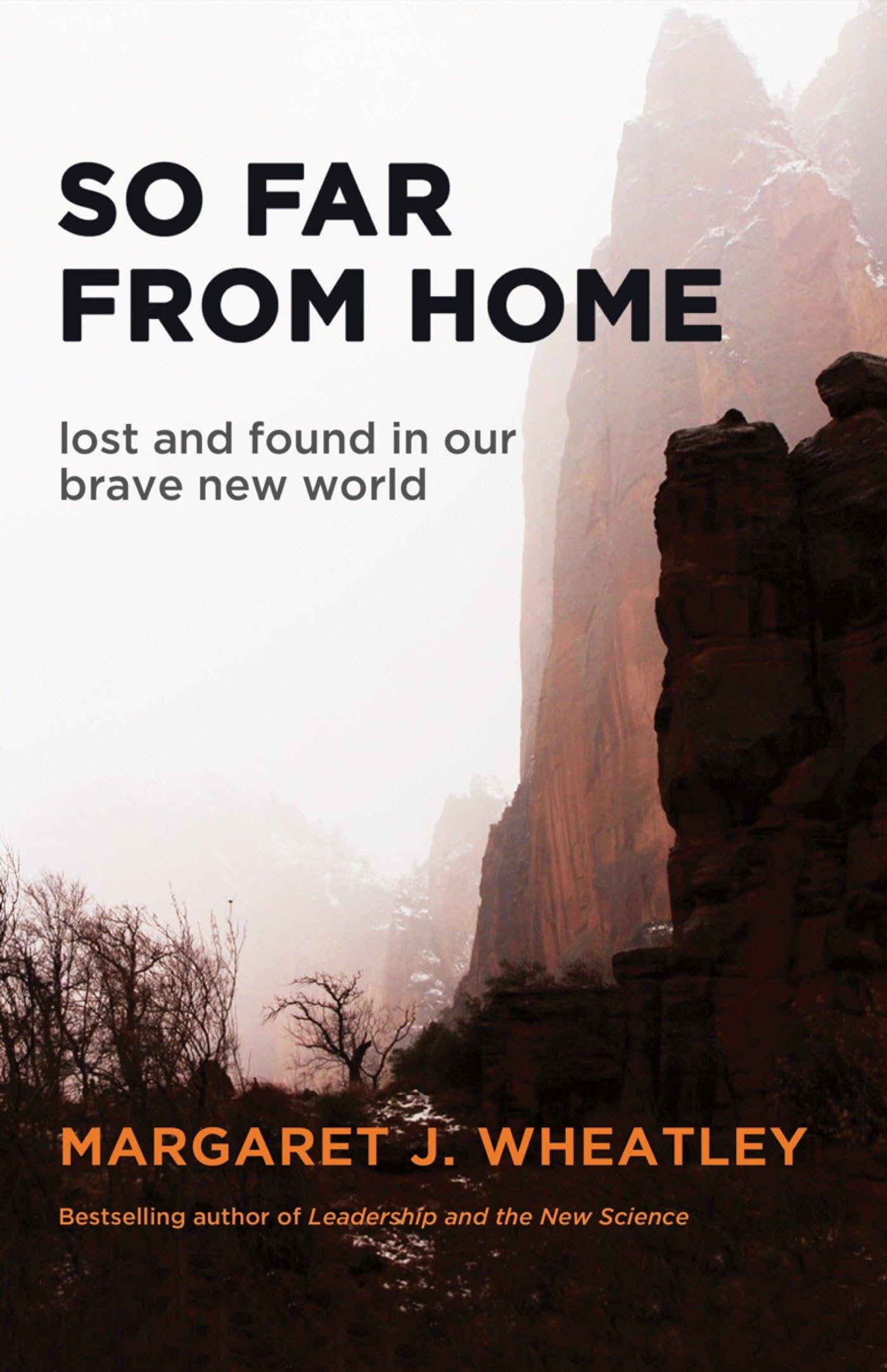 So Far from Home: Lost and Found in Our Brave New World Business, Finance & Career