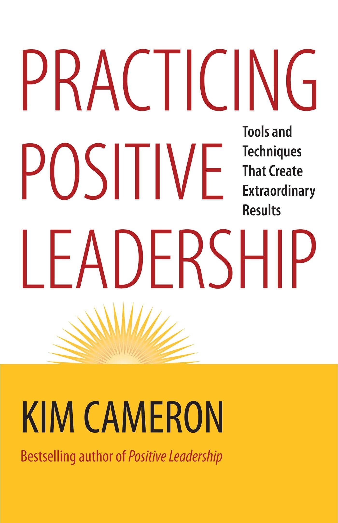 Practicing Positive Leadership Law