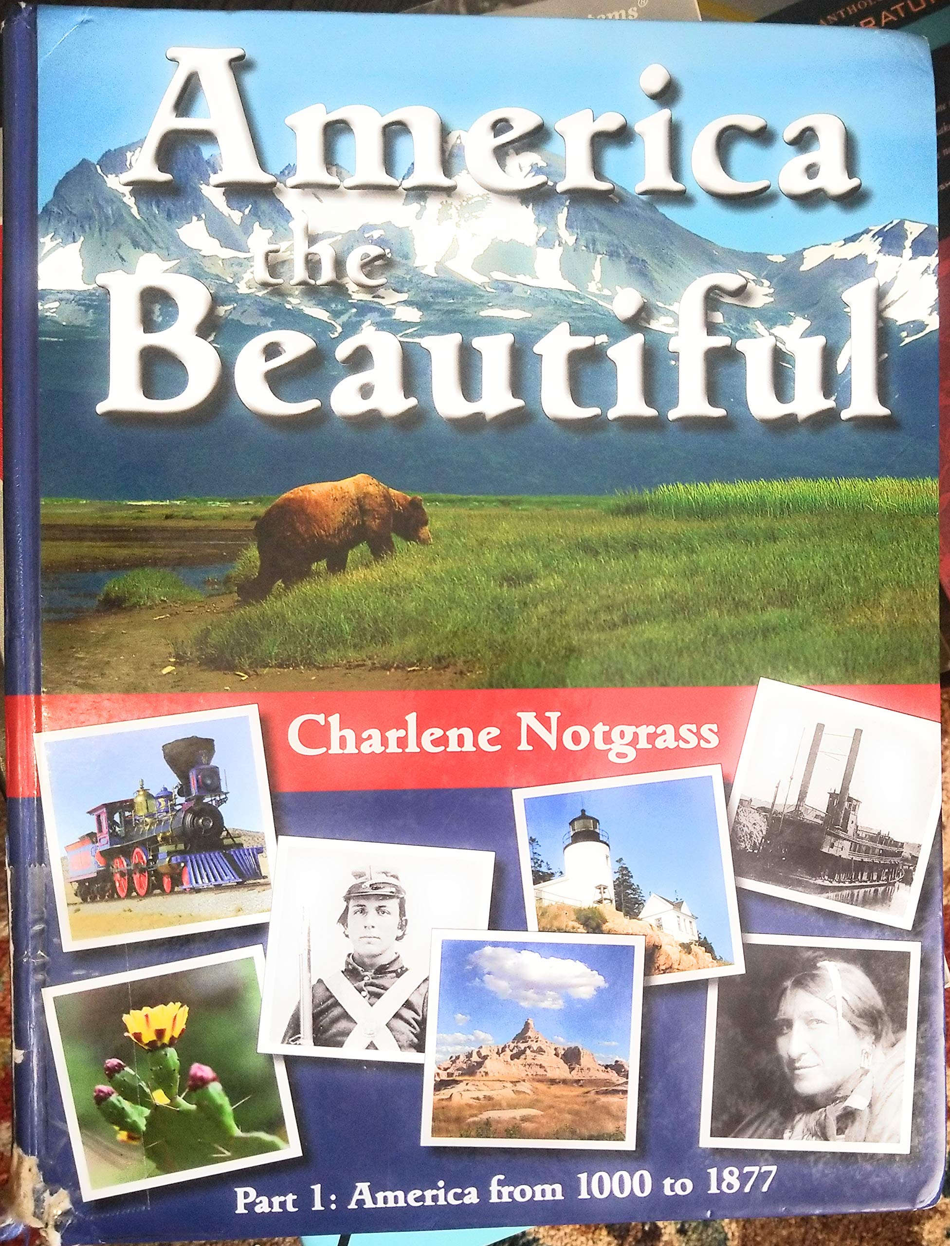 America the Beautiful Part 1: America from 1000 to 1877 Books