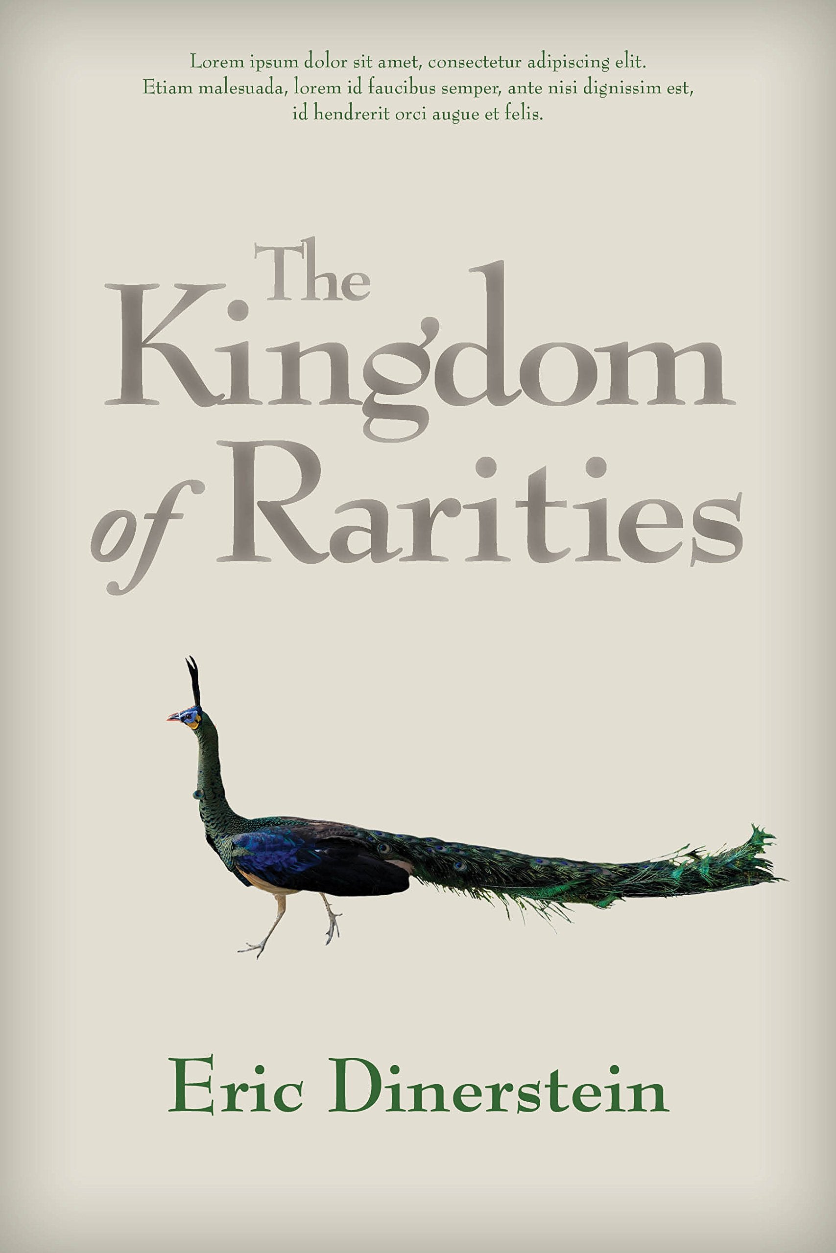 The Kingdom of Rarities Business & Technology