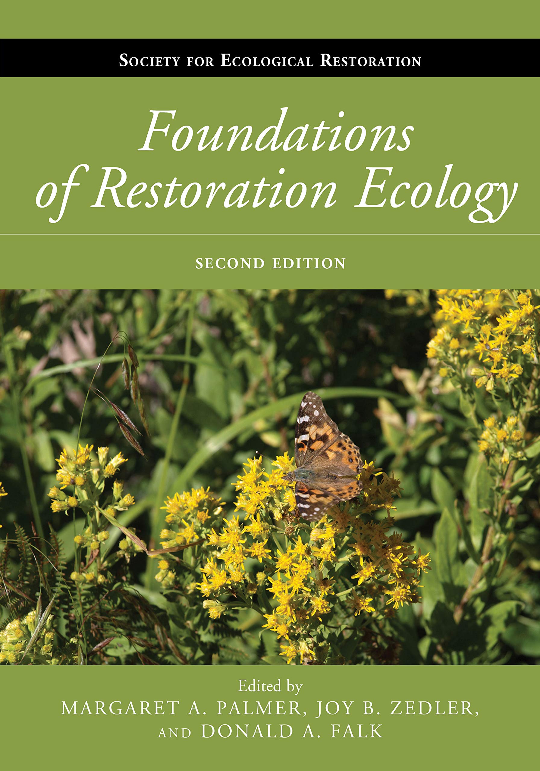 Foundations of Restoration Ecology (Foundat6ions for Ecological Restoration: Science and Practice of Ecological Restoration) Mathematics