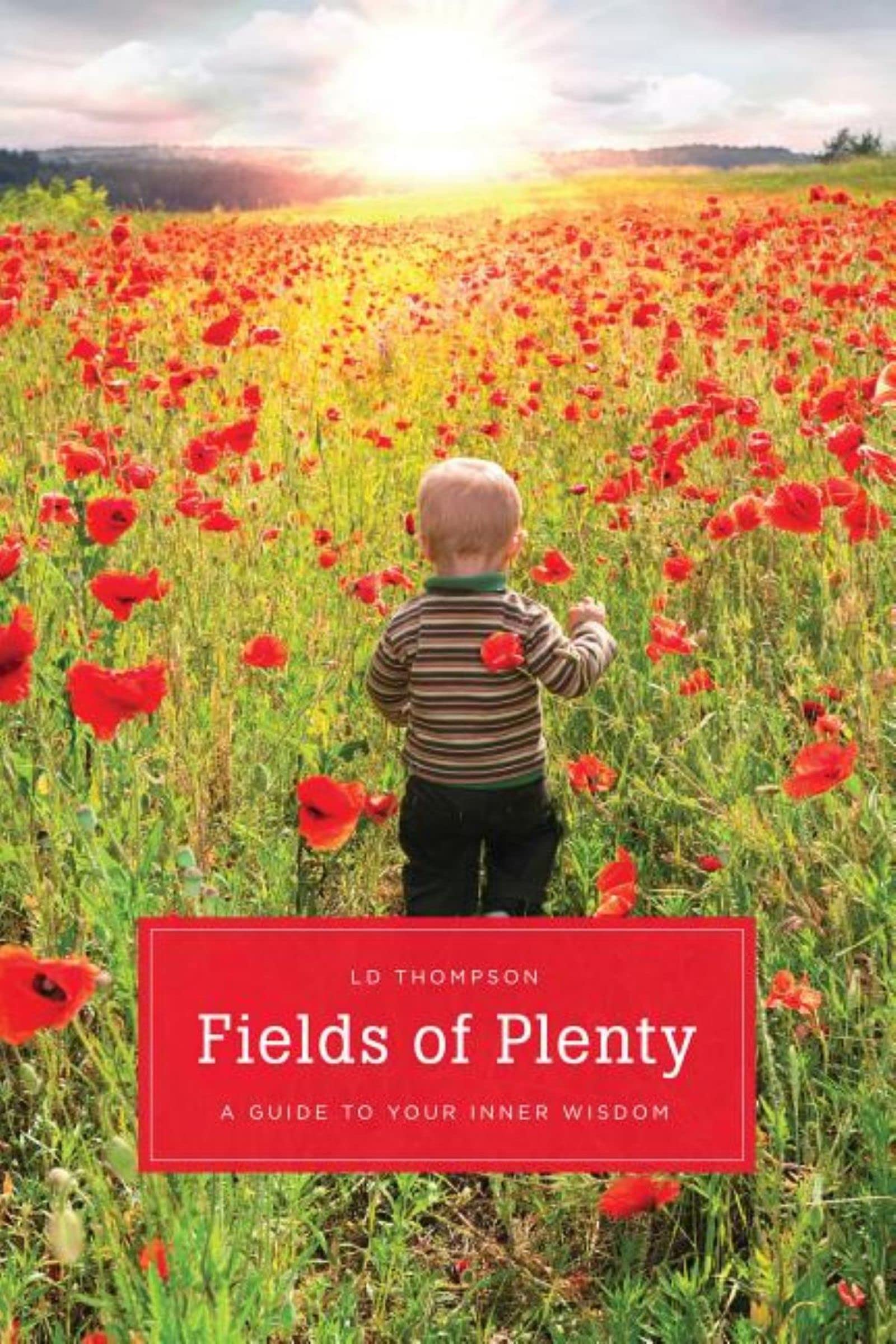 Fields of Plenty: A Guide to Your Inner Wisdom: A Guide to Your Natural Knowingness Religion & Esotericism