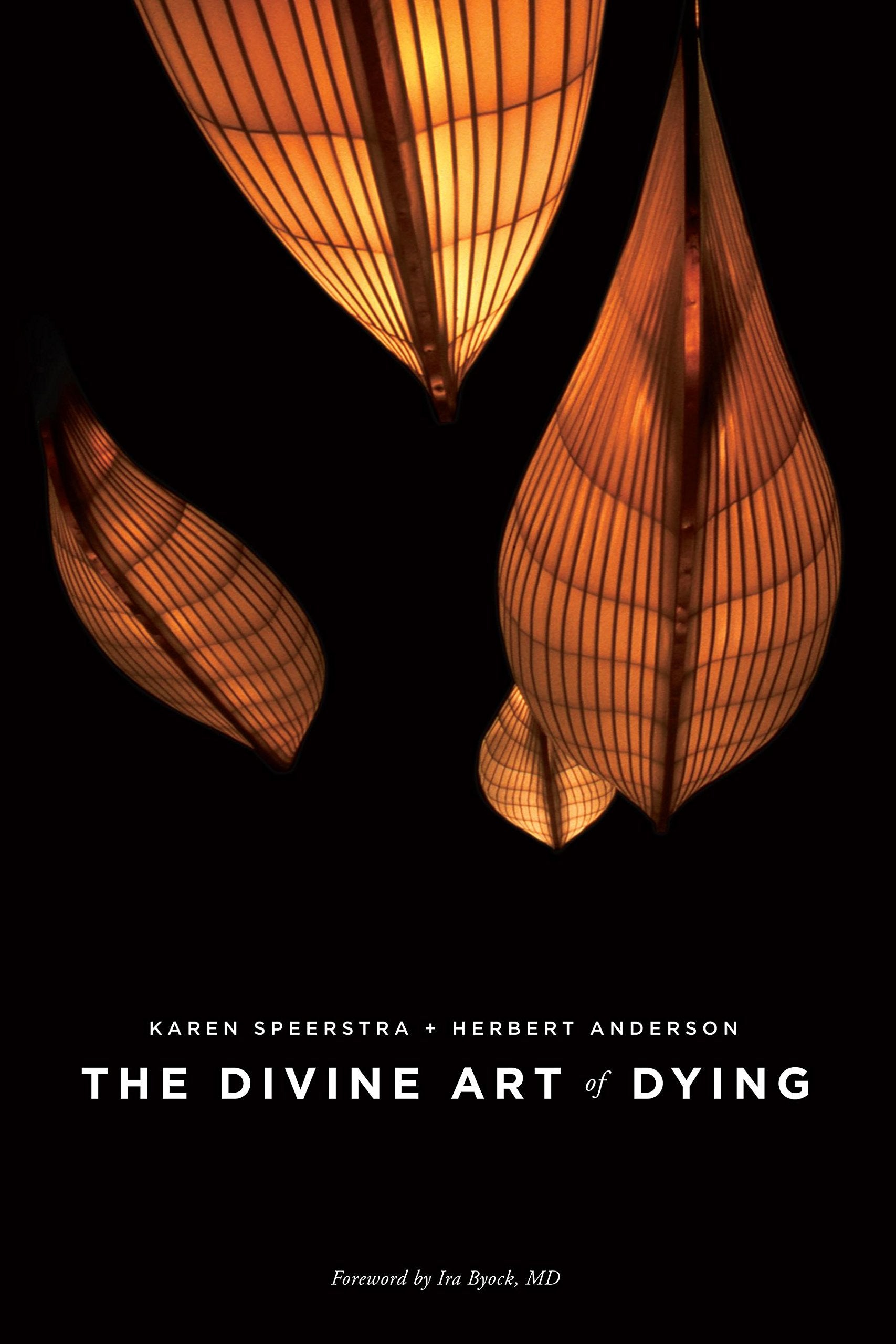 The Divine Art of Dying: How to Live Well While Dying book