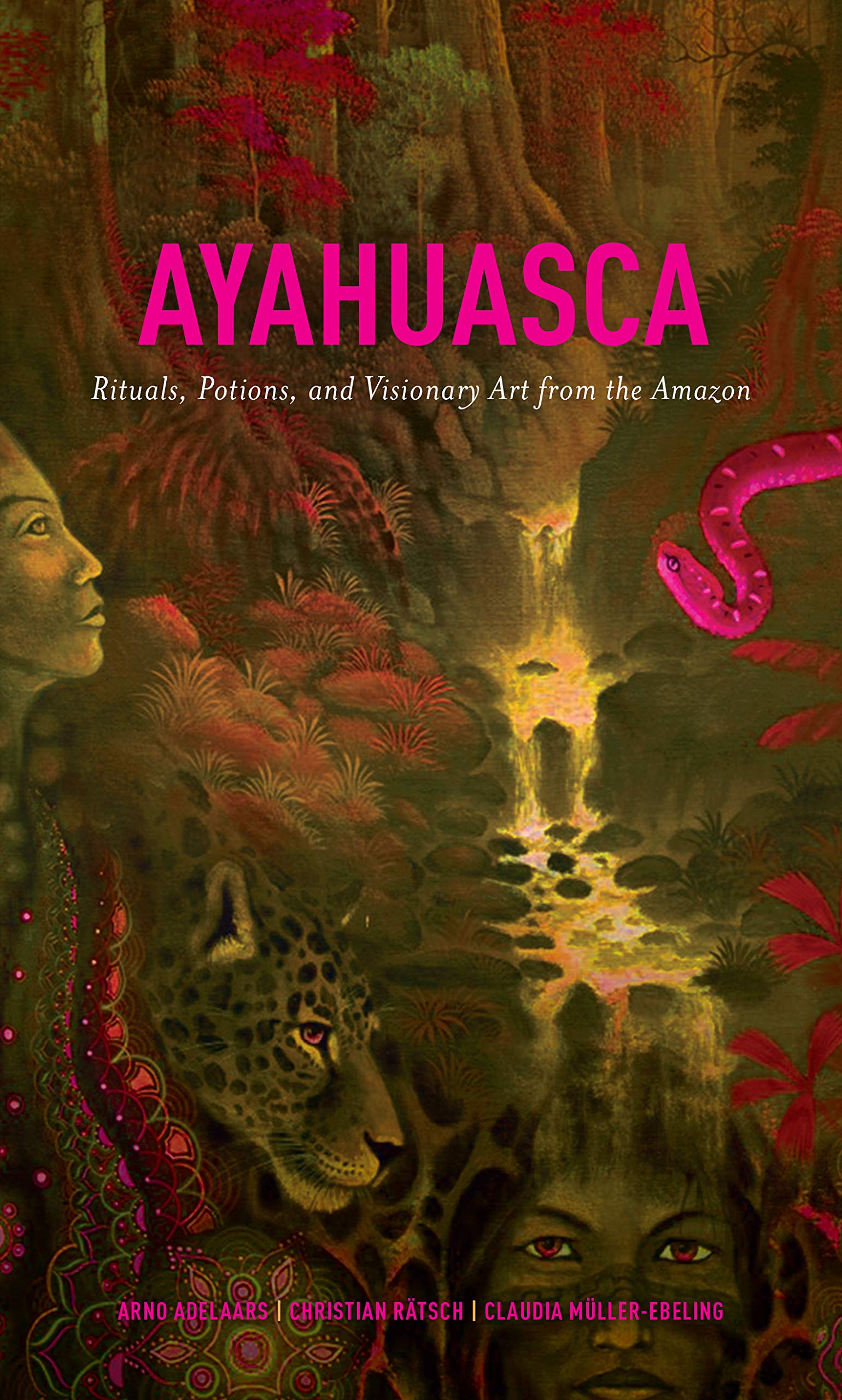 Ayahuasca: Rituals, Potions and Visionary Art from the Amazon book