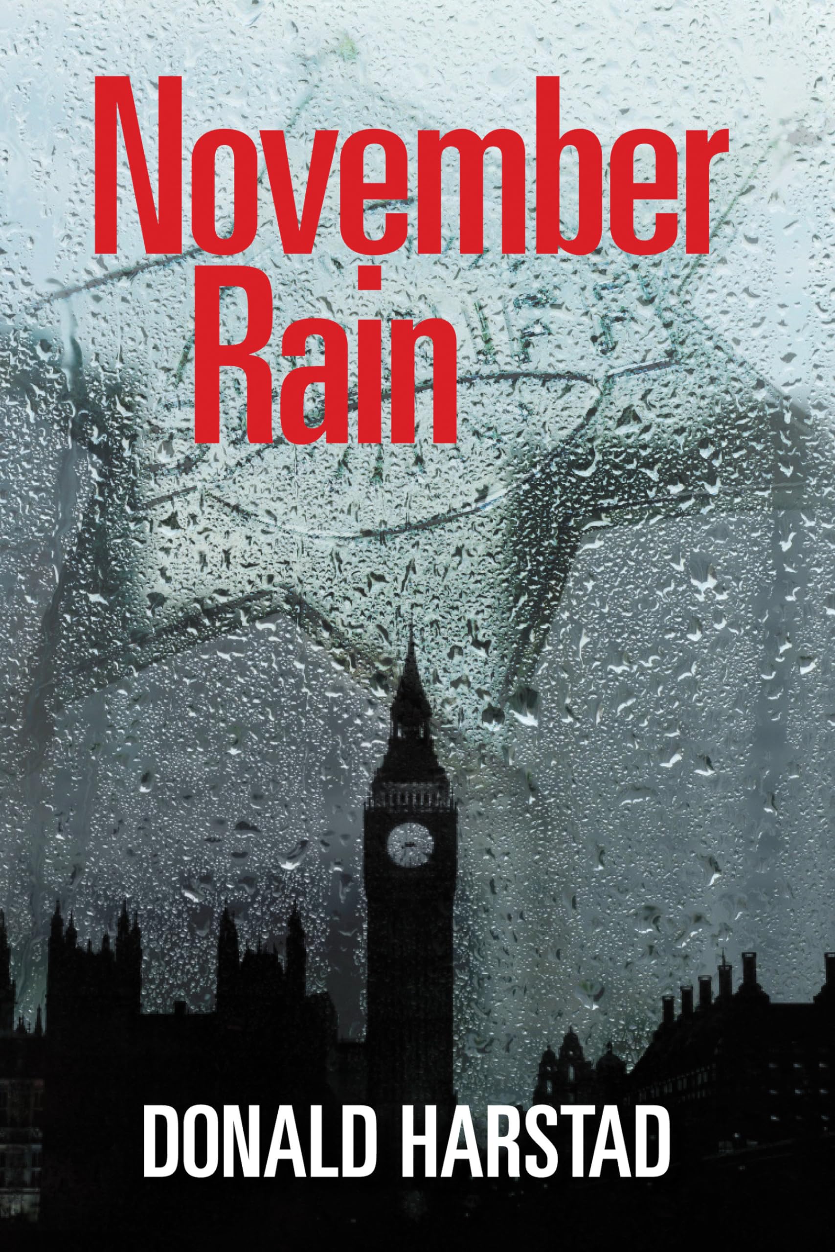 November Rain: A Carl Houseman Mystery book