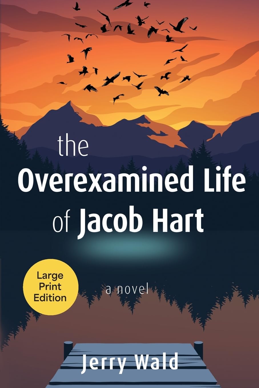 The Overexamined Life of Jacob Hart Contemporary literature