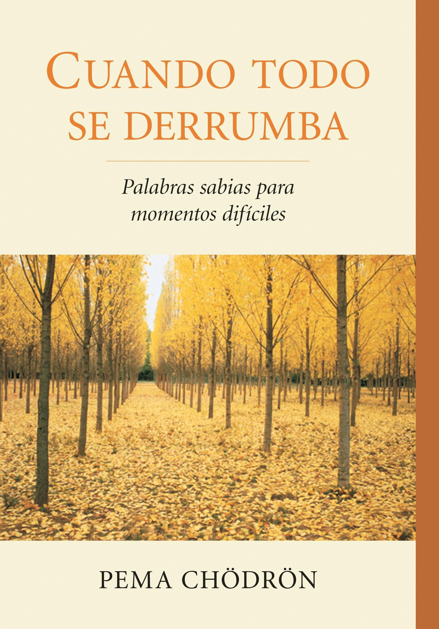 Cuando Todo Se Derrumba (When Things Fall Apart): Palabras Sabias Para Momentos Dificiles book