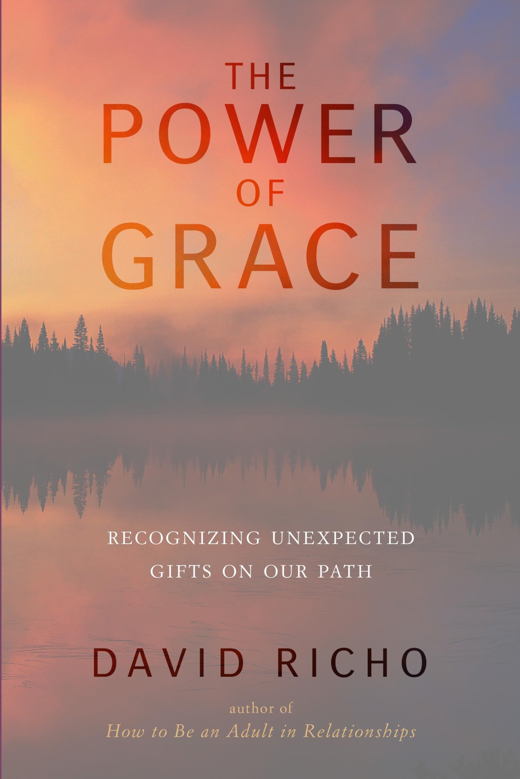 The Power of Grace: Recognizing Unexpected Gifts on Our Path Business, Finance & Career