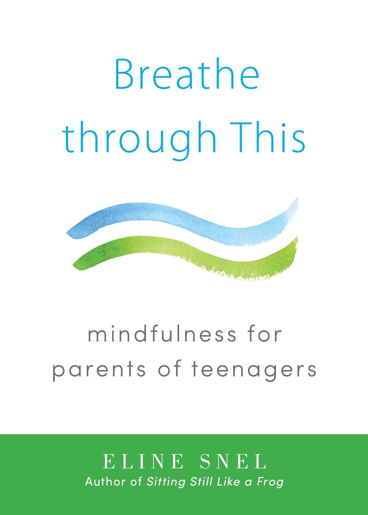 Breathe through This: Mindfulness for Parents of Teenagers Business, Finance & Career