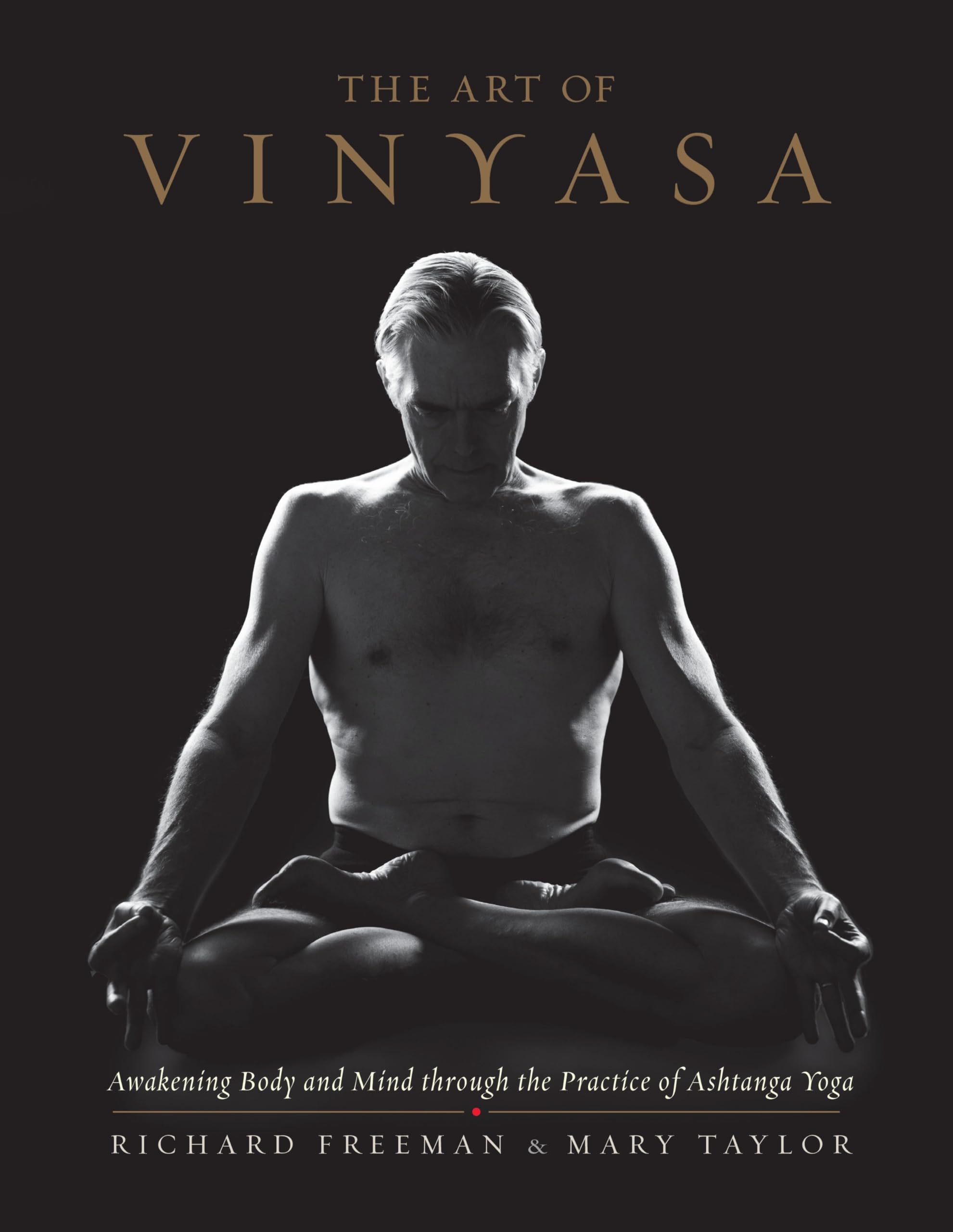 The Art of Vinyasa Philosophy